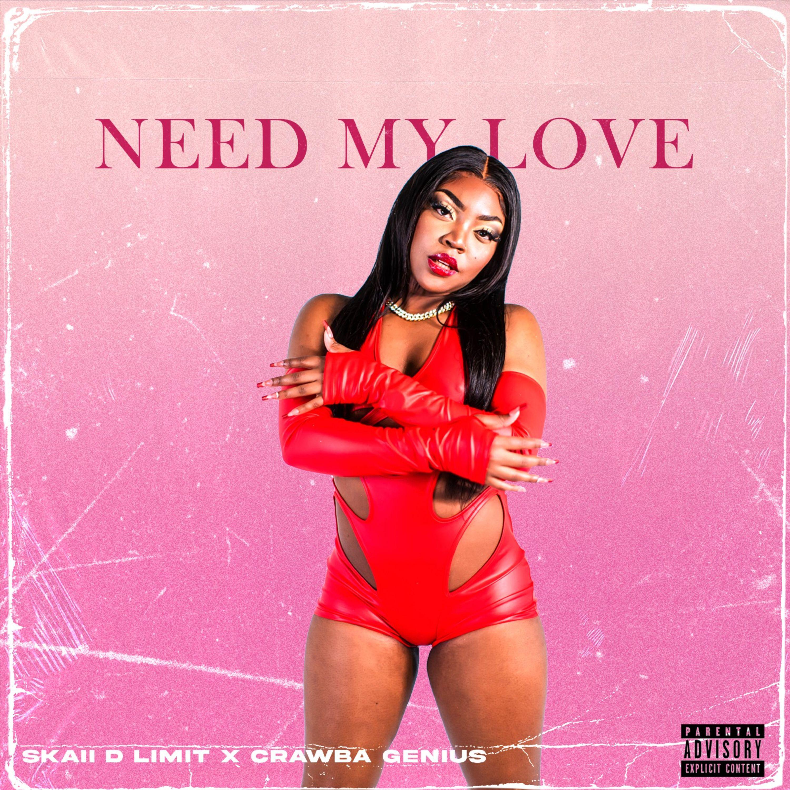 Постер альбома Need My Love