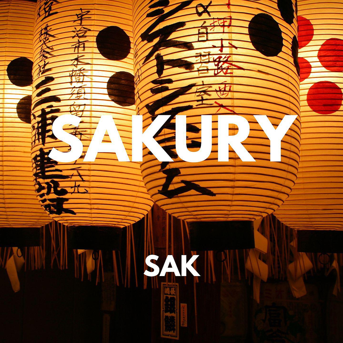 Постер альбома Sak