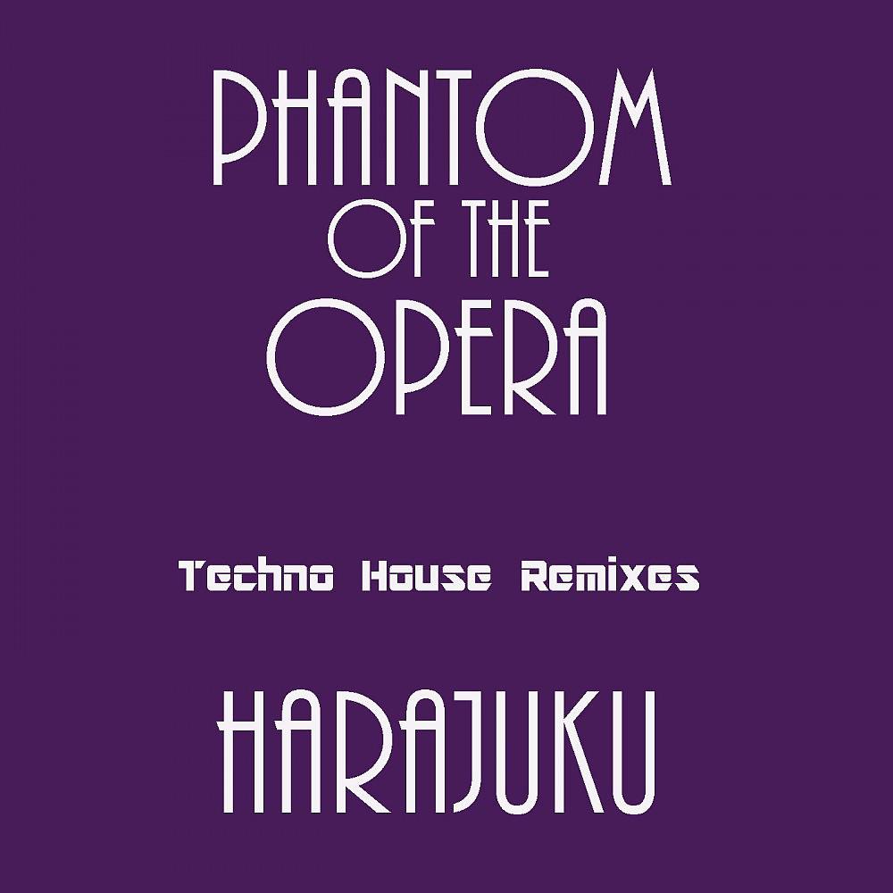 Постер альбома Phantom of the Opera (Techno House Remixes)