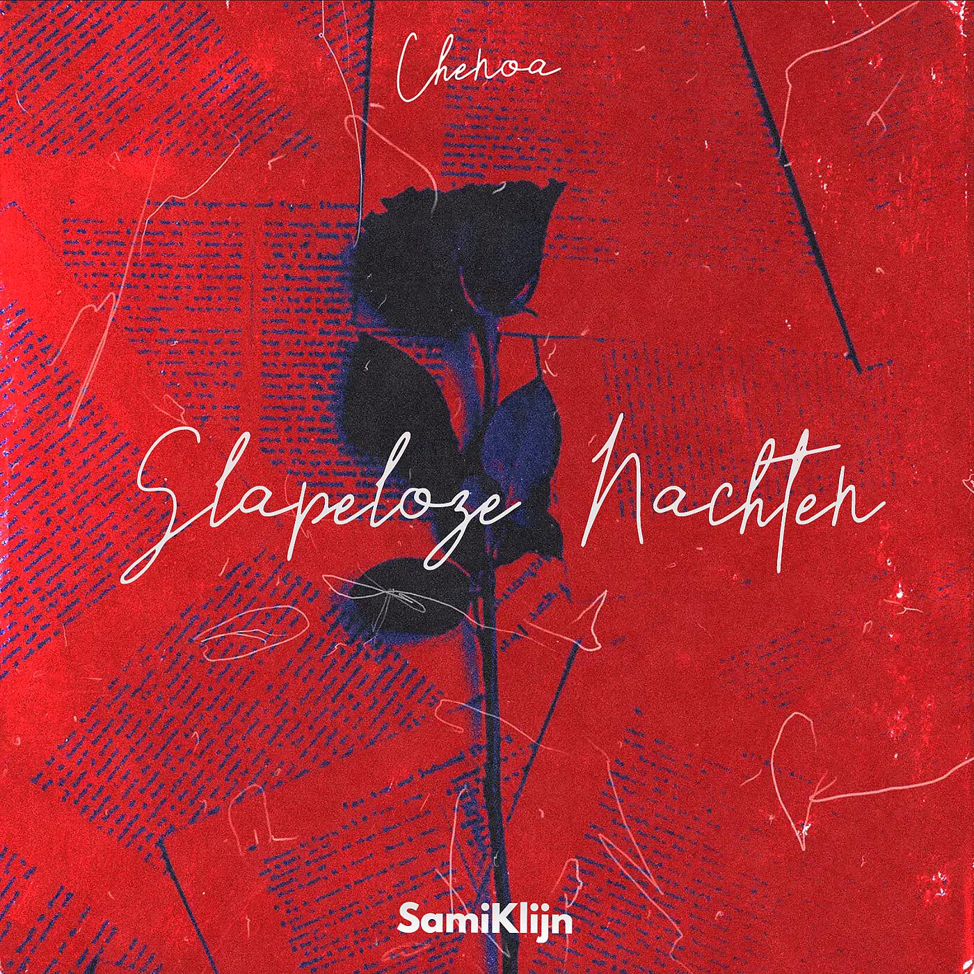 Постер альбома Slapeloze Nachten