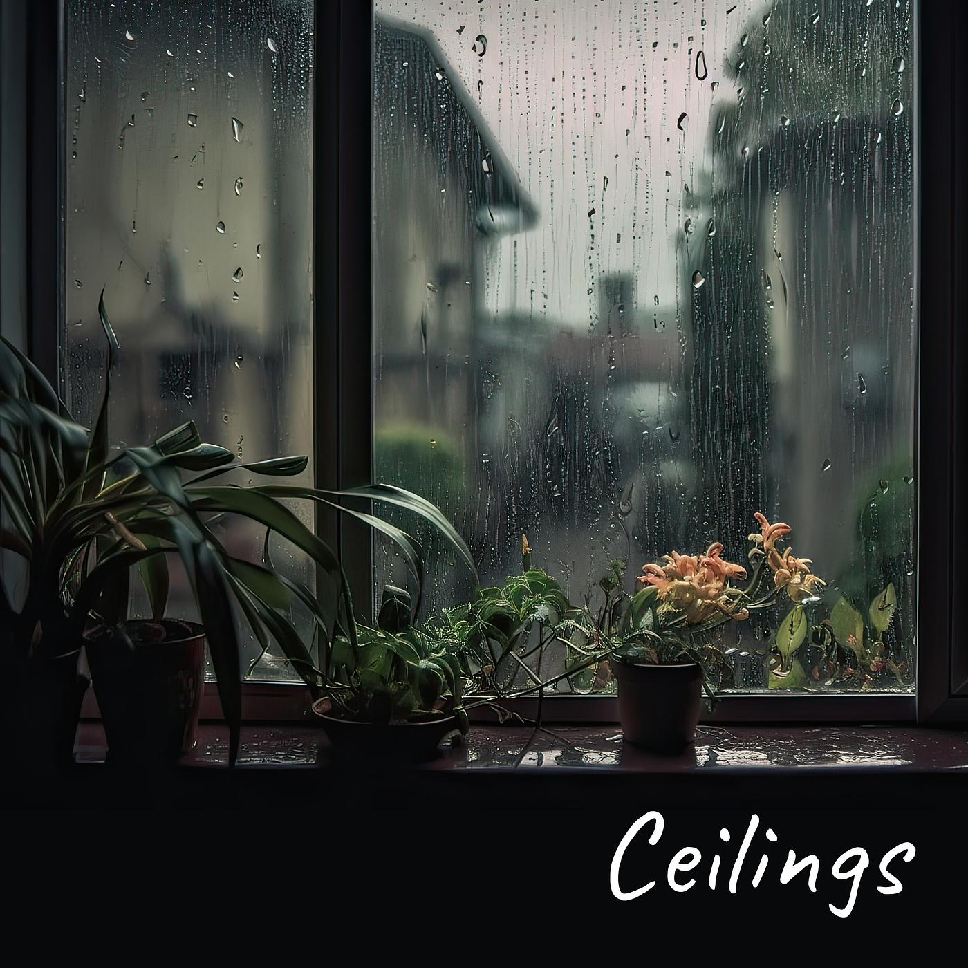 Постер альбома Ceilings