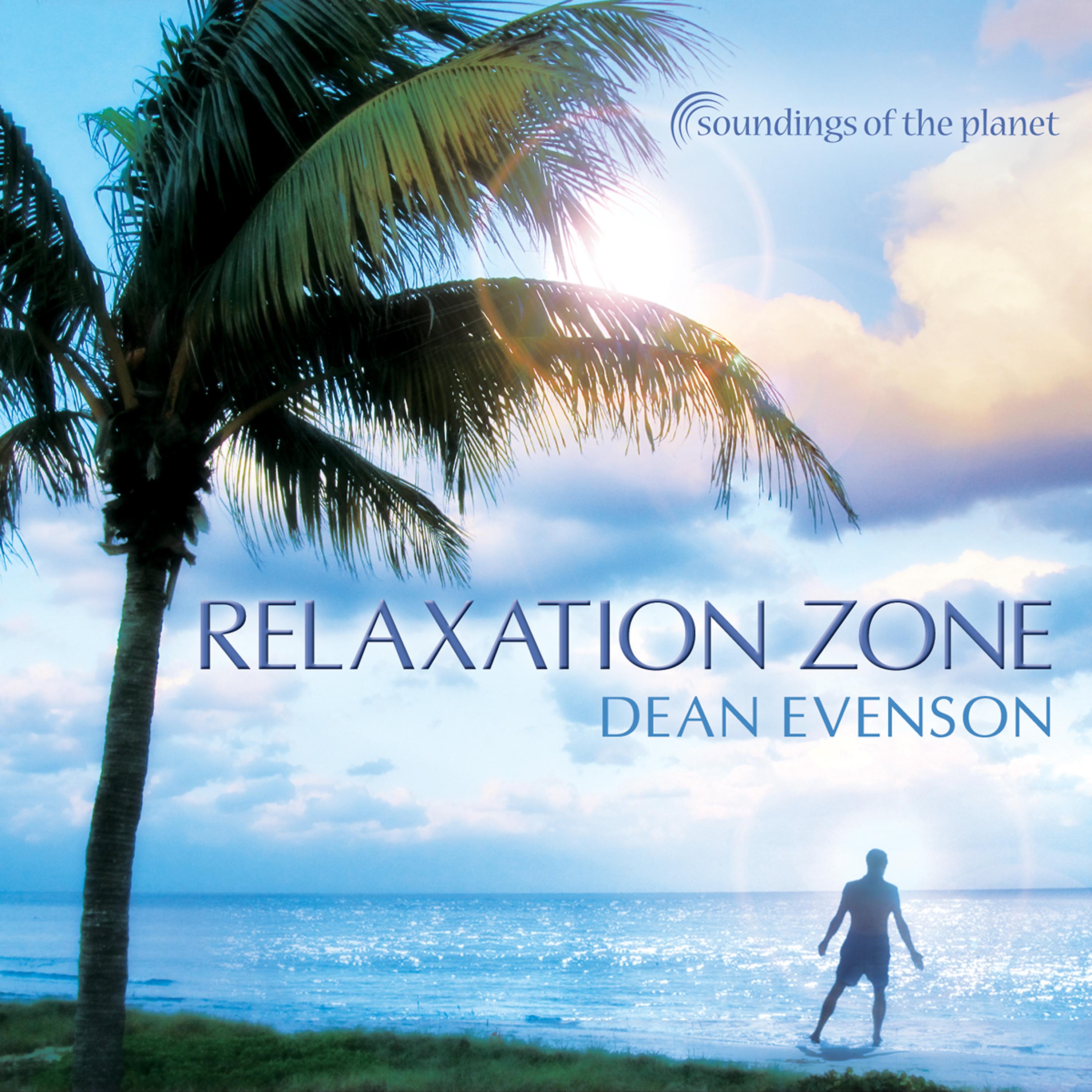 Постер альбома Relaxation Zone