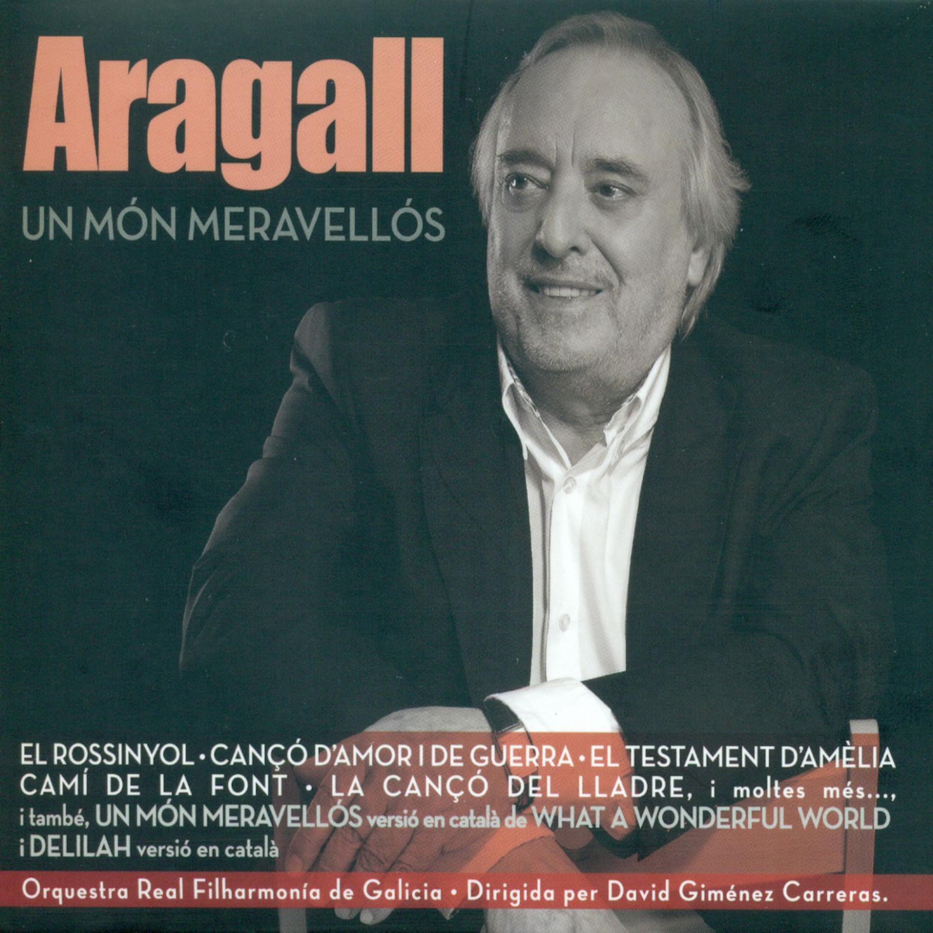 Постер альбома Un Món Meravellós