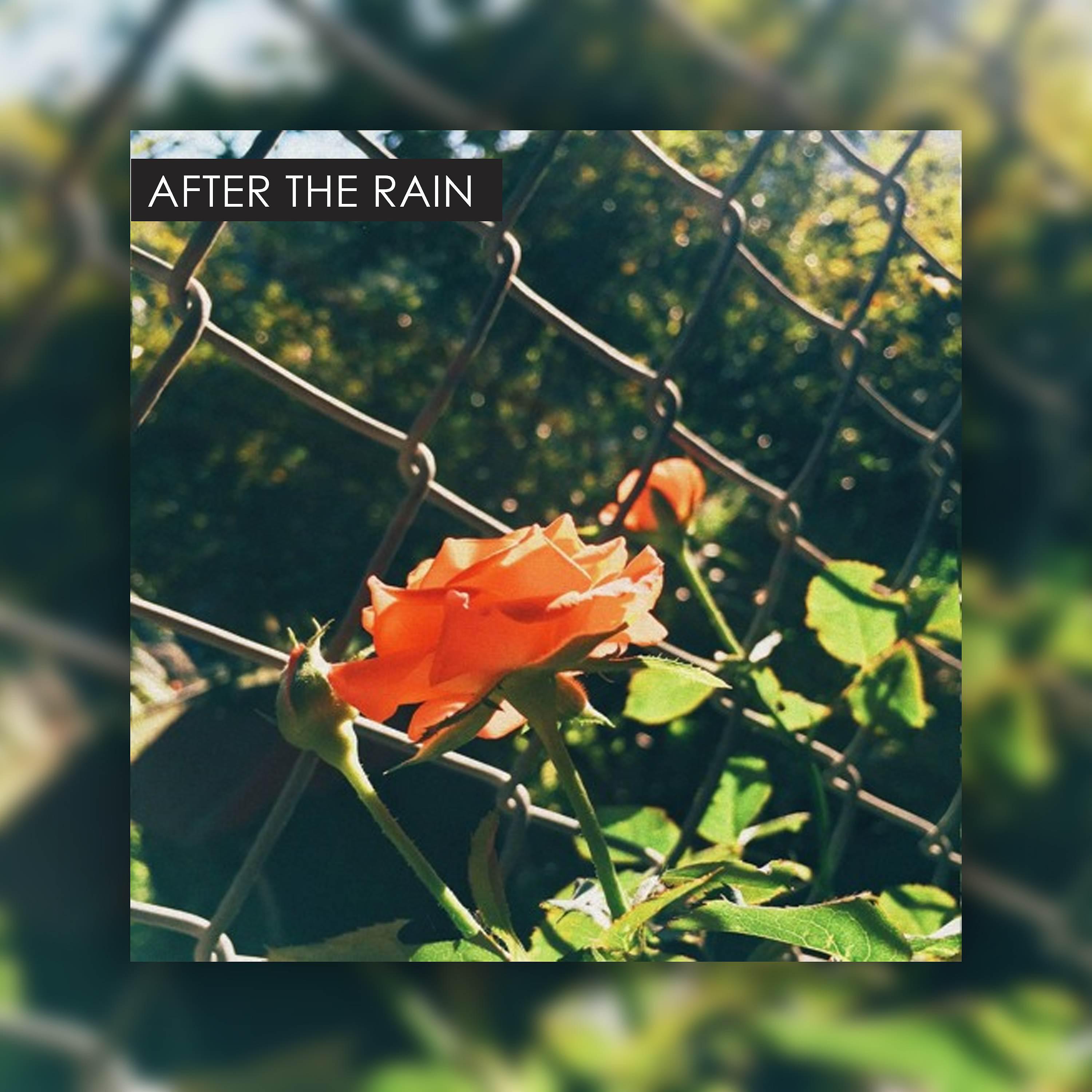 Постер альбома After The Rain