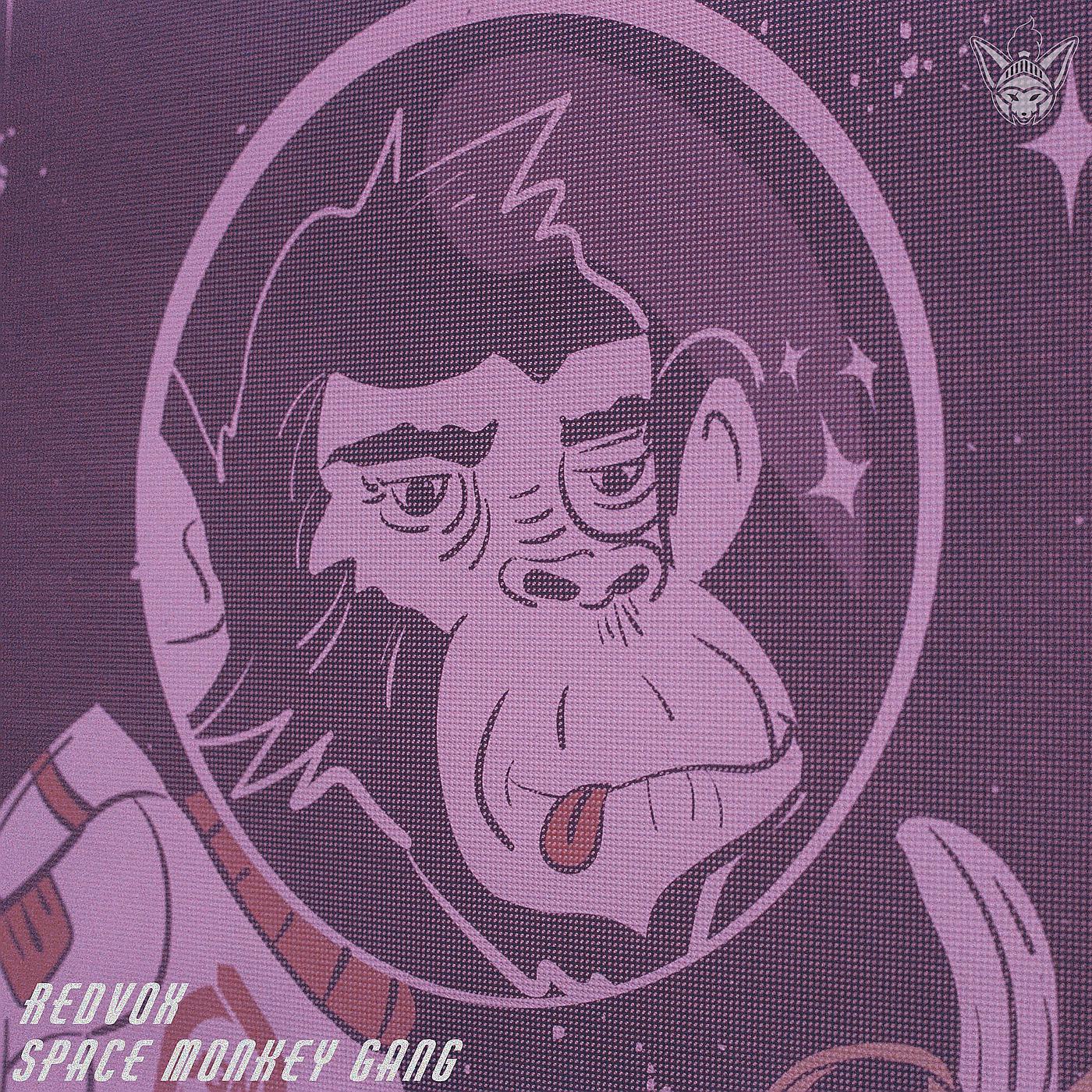Постер альбома Space Monkey Gang