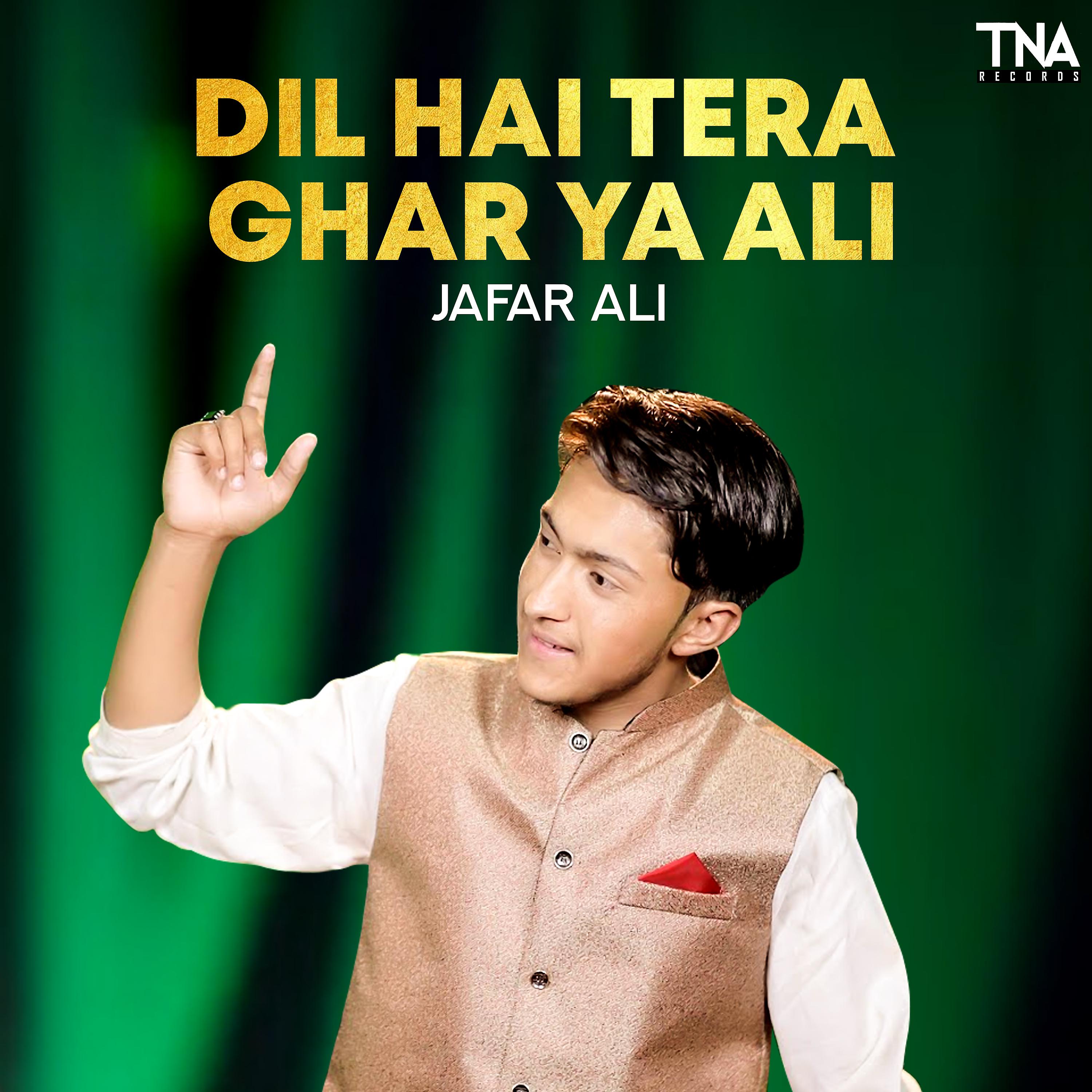 Постер альбома Dil Hai Tera Ghar Ya Ali - Single