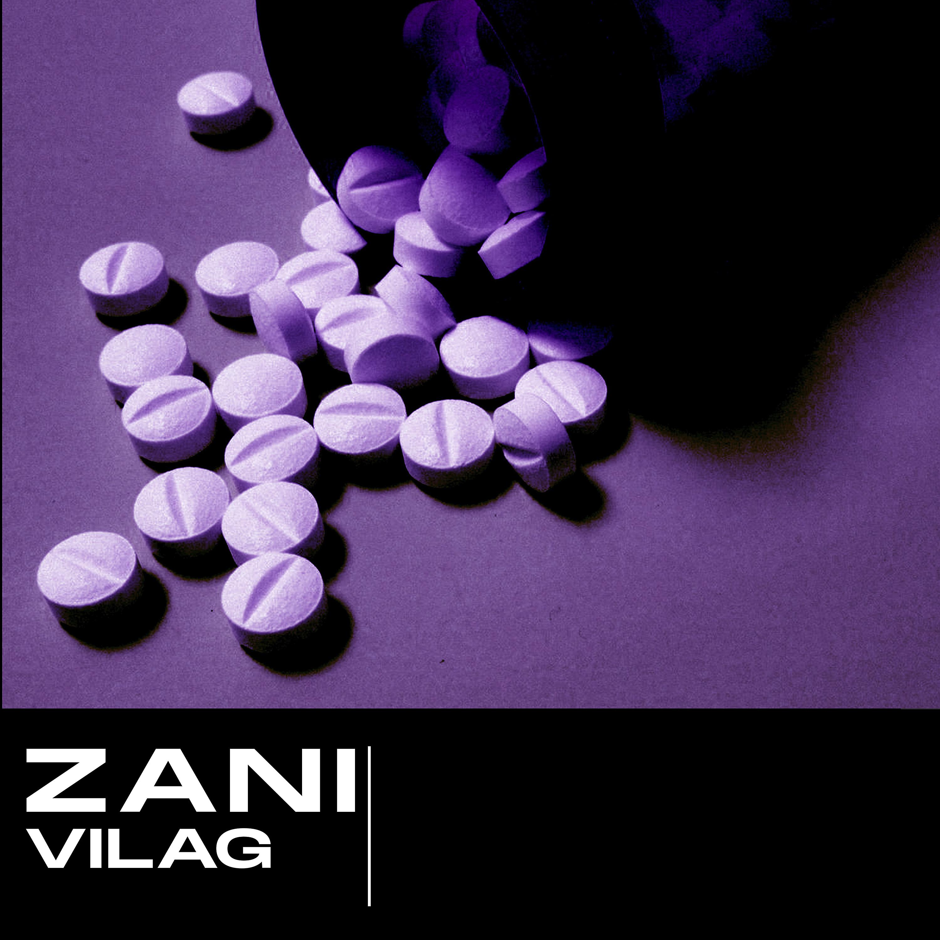 Постер альбома Zani