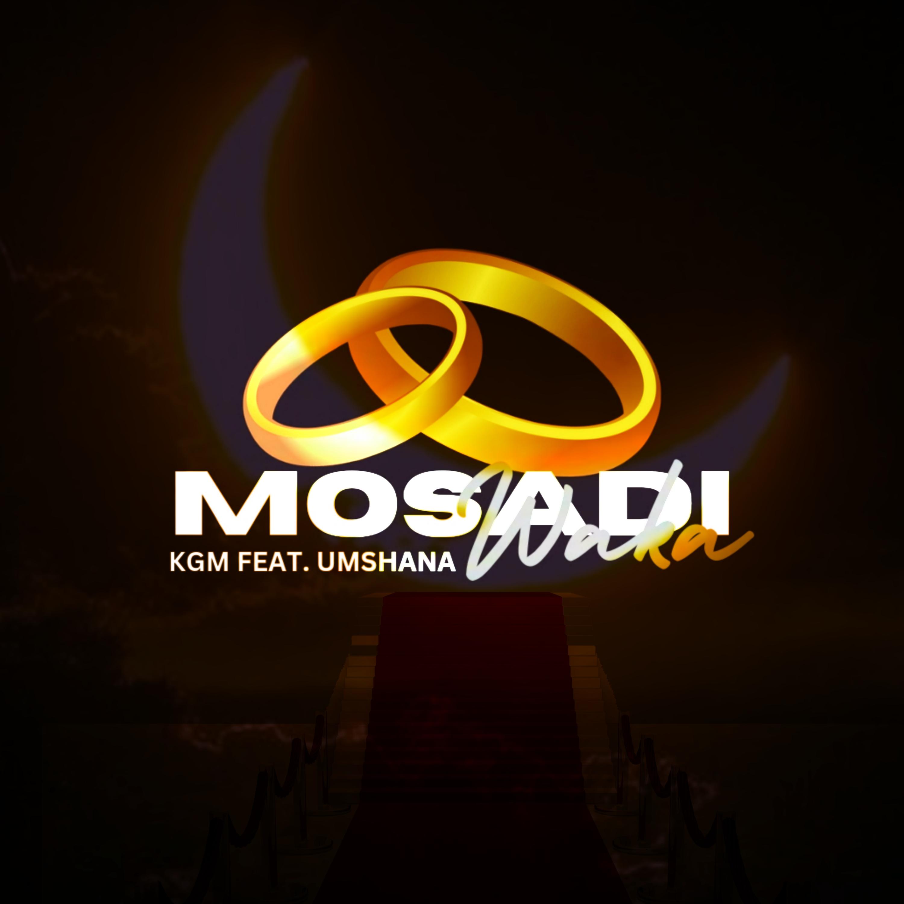 Постер альбома Mosadi Waka