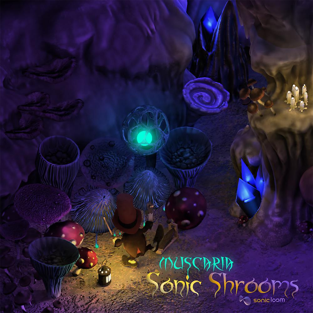 Постер альбома Sonic Shrooms