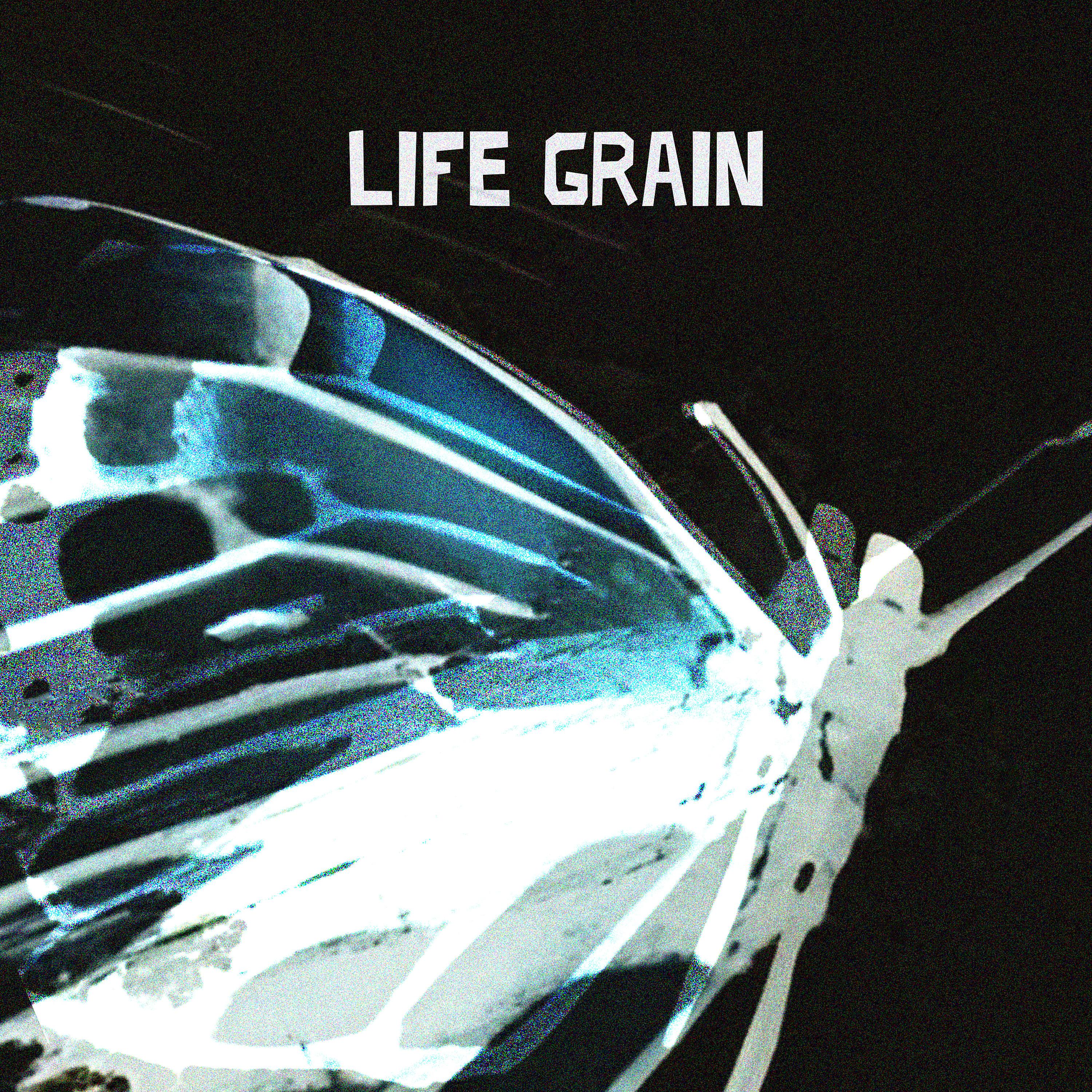 Постер альбома Life Grain