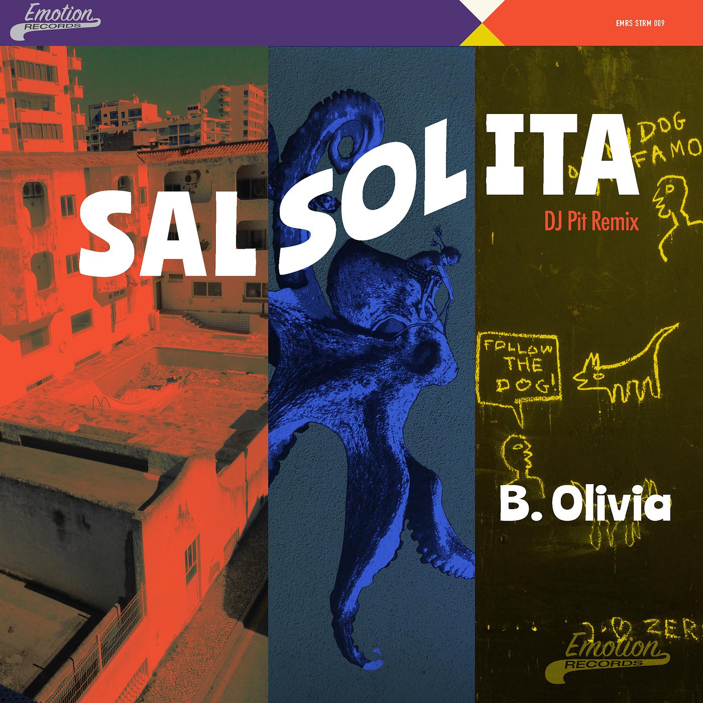 Постер альбома Salsolita (DJ Pit Remix)