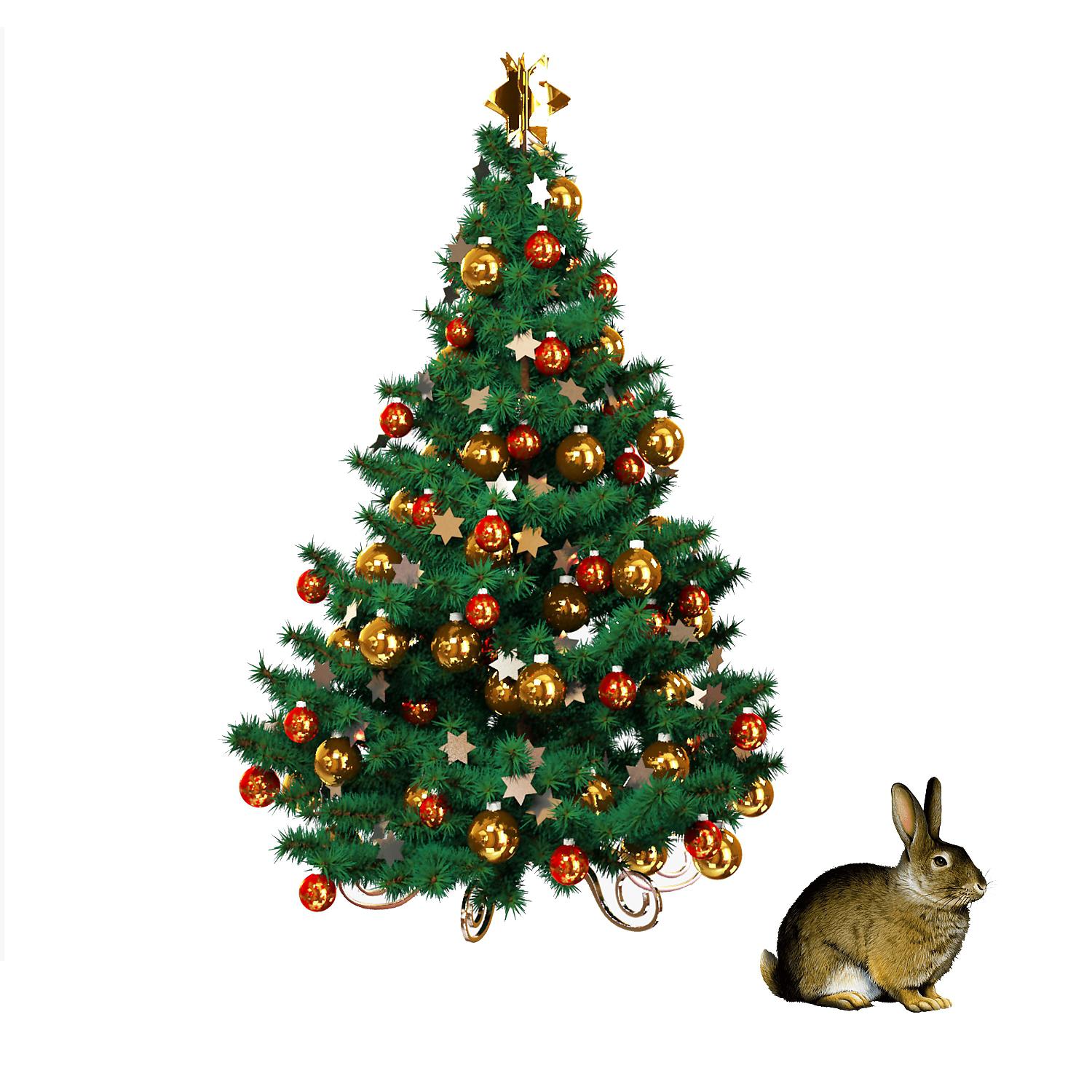 Постер альбома Rabbit under the Christmas Tree