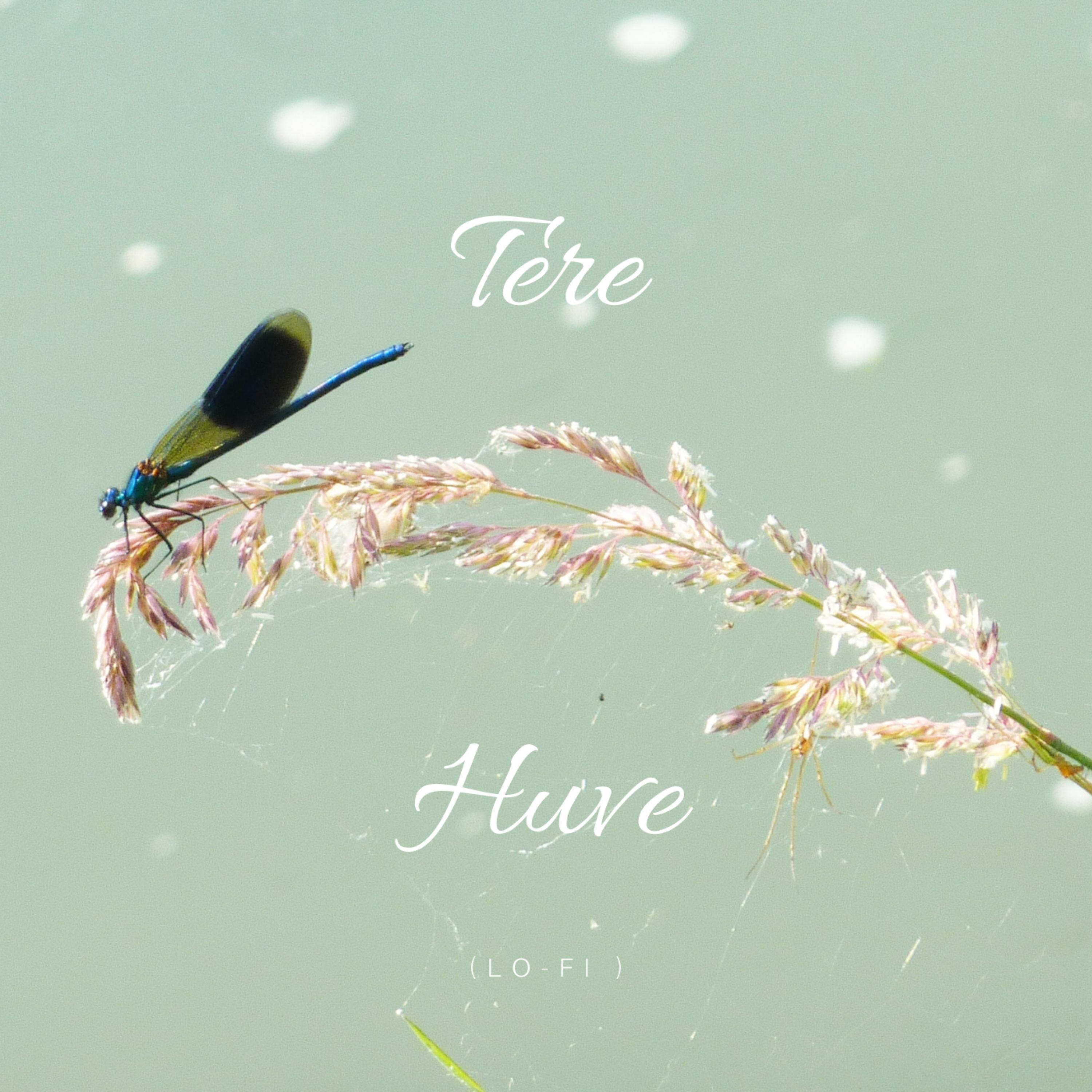 Постер альбома Tere Huve (Lo-fi)