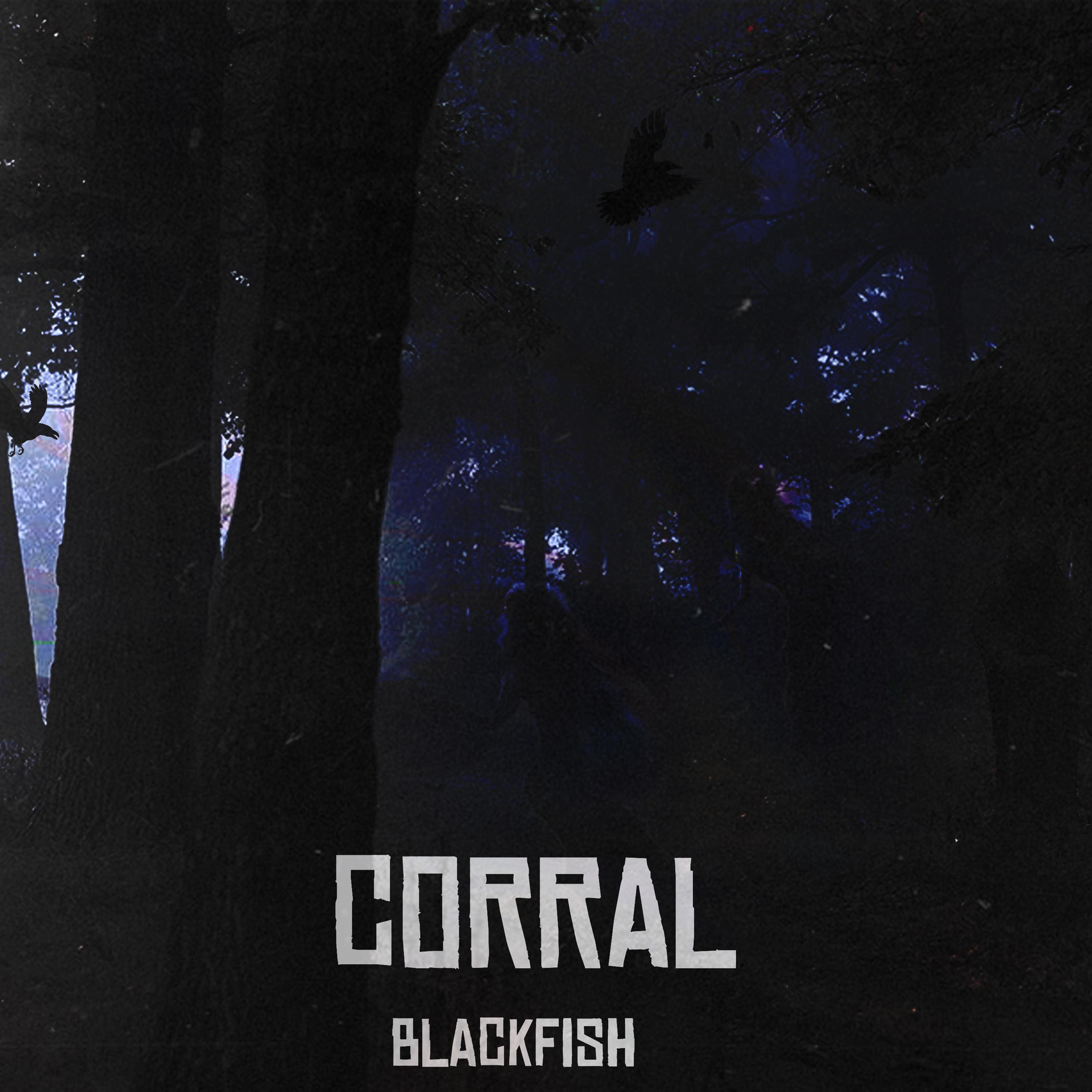 Постер альбома Corral