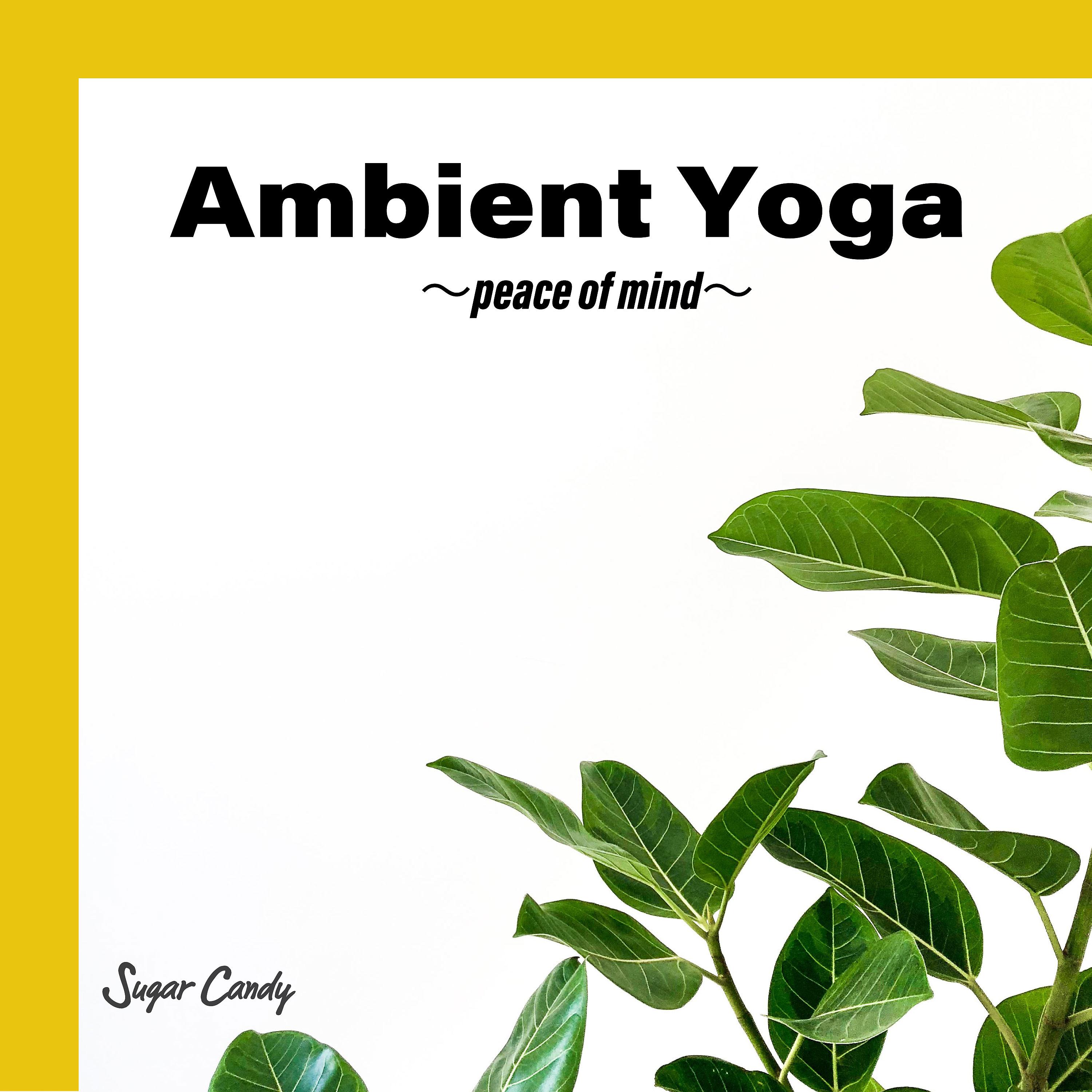 Постер альбома Ambient Yoga 〜Peace of Mind〜