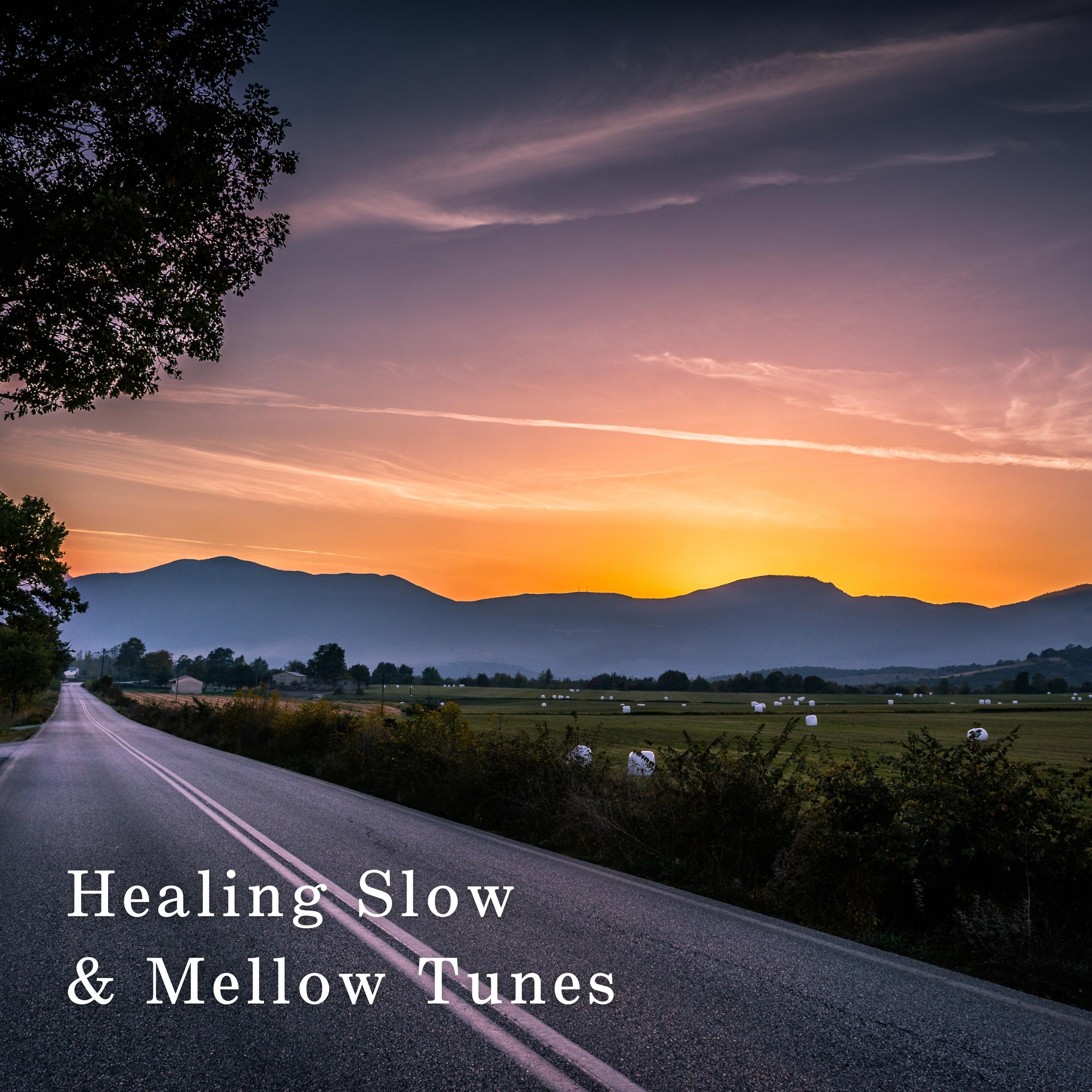 Постер альбома Healing Slow & Mellow Tunes
