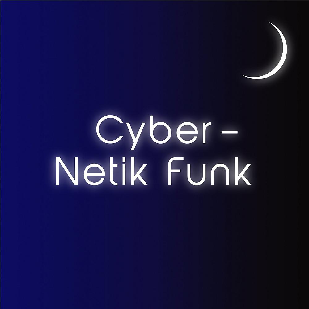 Постер альбома Cyber-Netik Funk