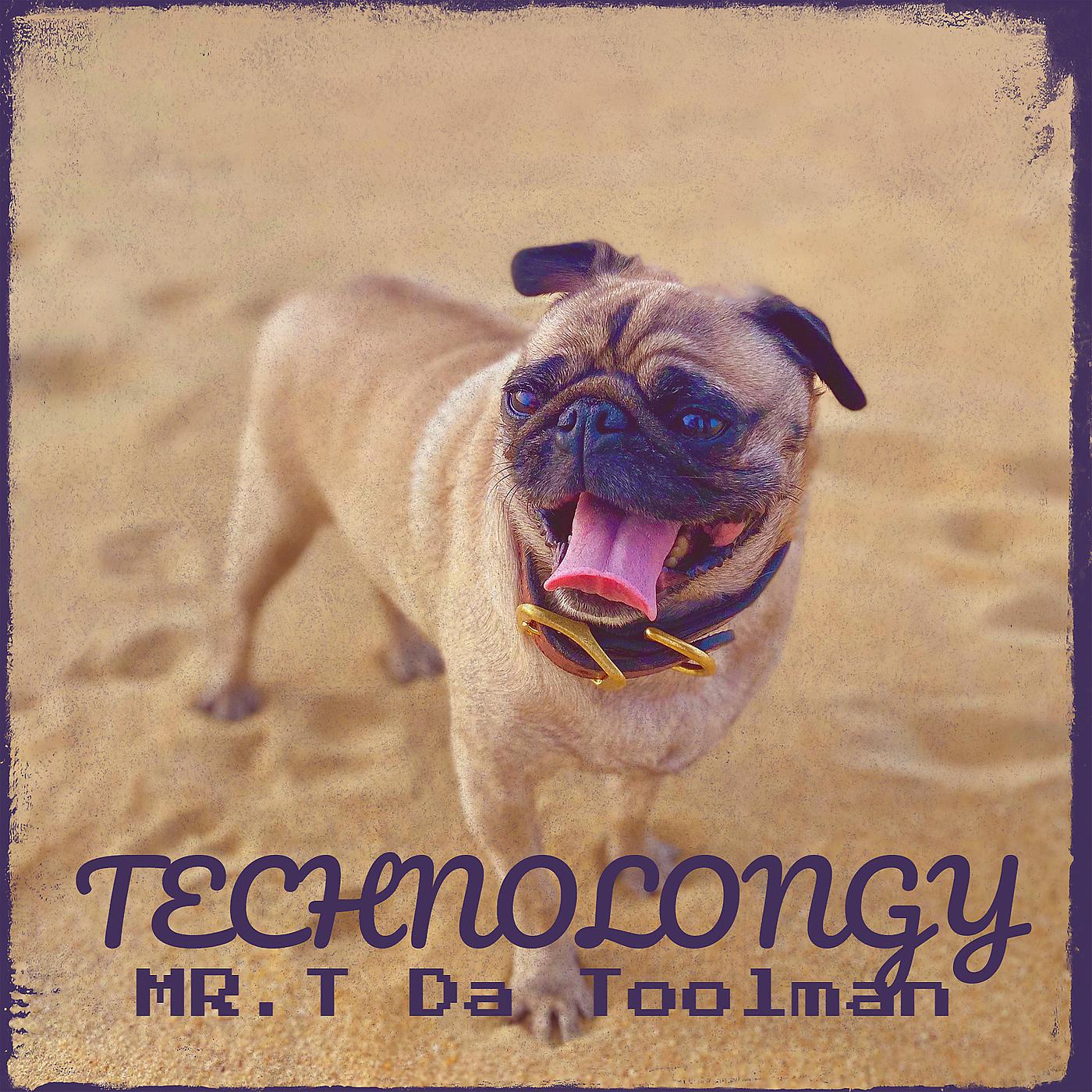 Постер альбома Technolongy