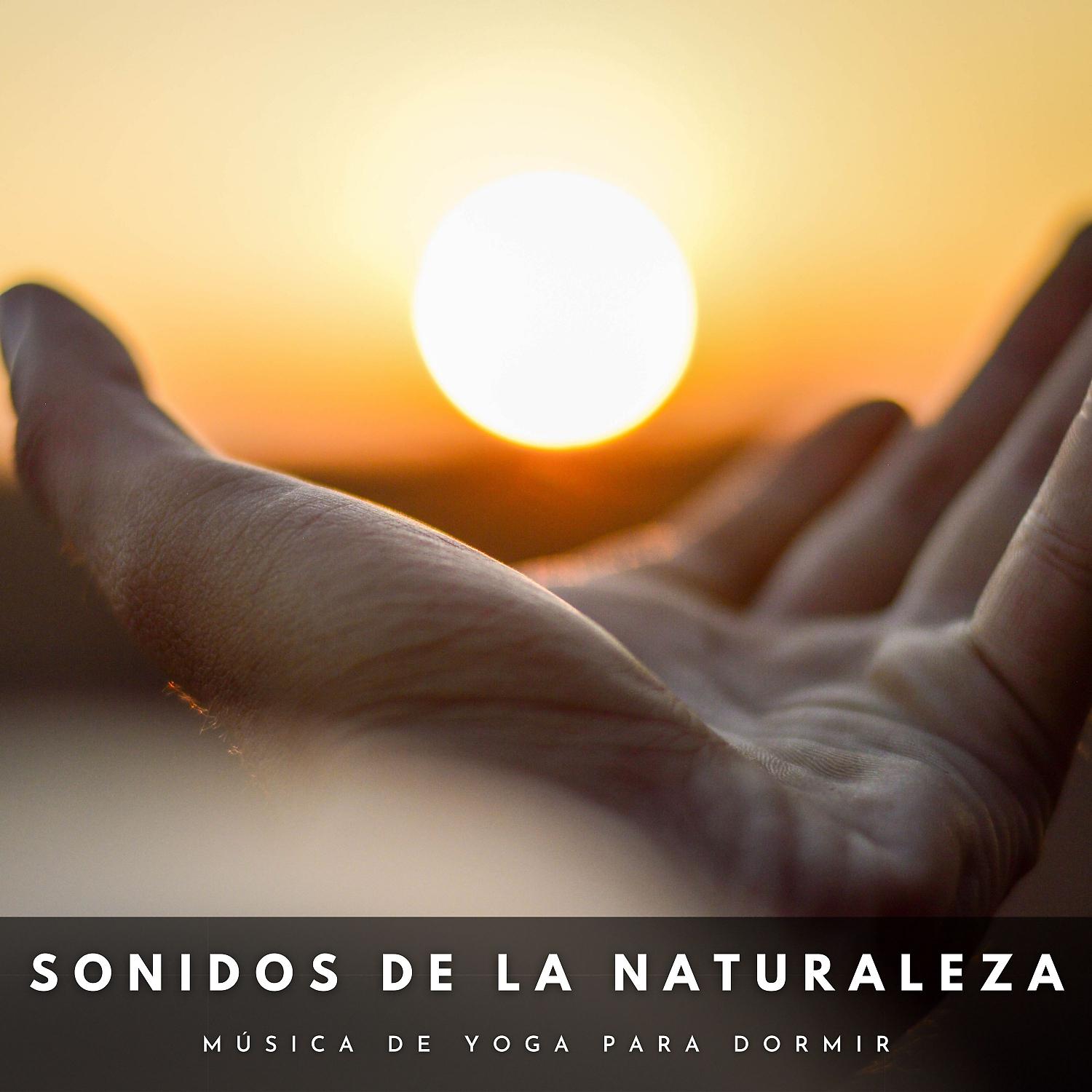 Постер альбома Sonidos De La Naturaleza: Música De Yoga Para Dormir