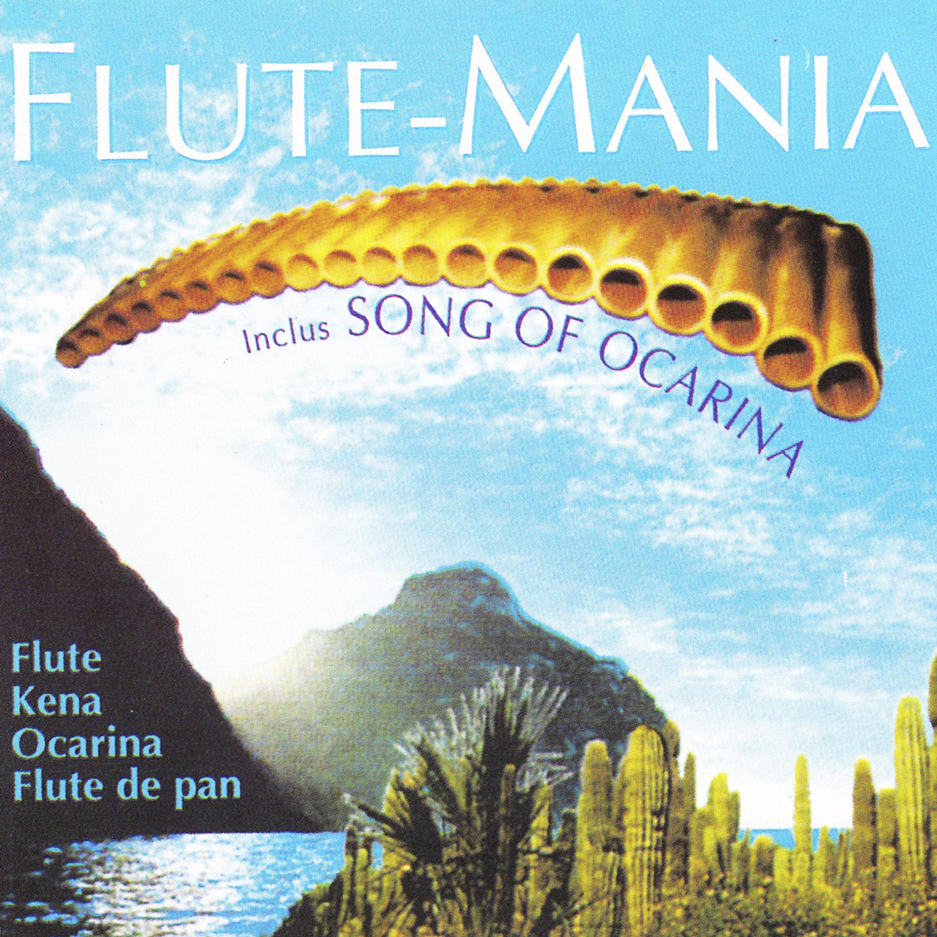 Постер альбома Flute Mania