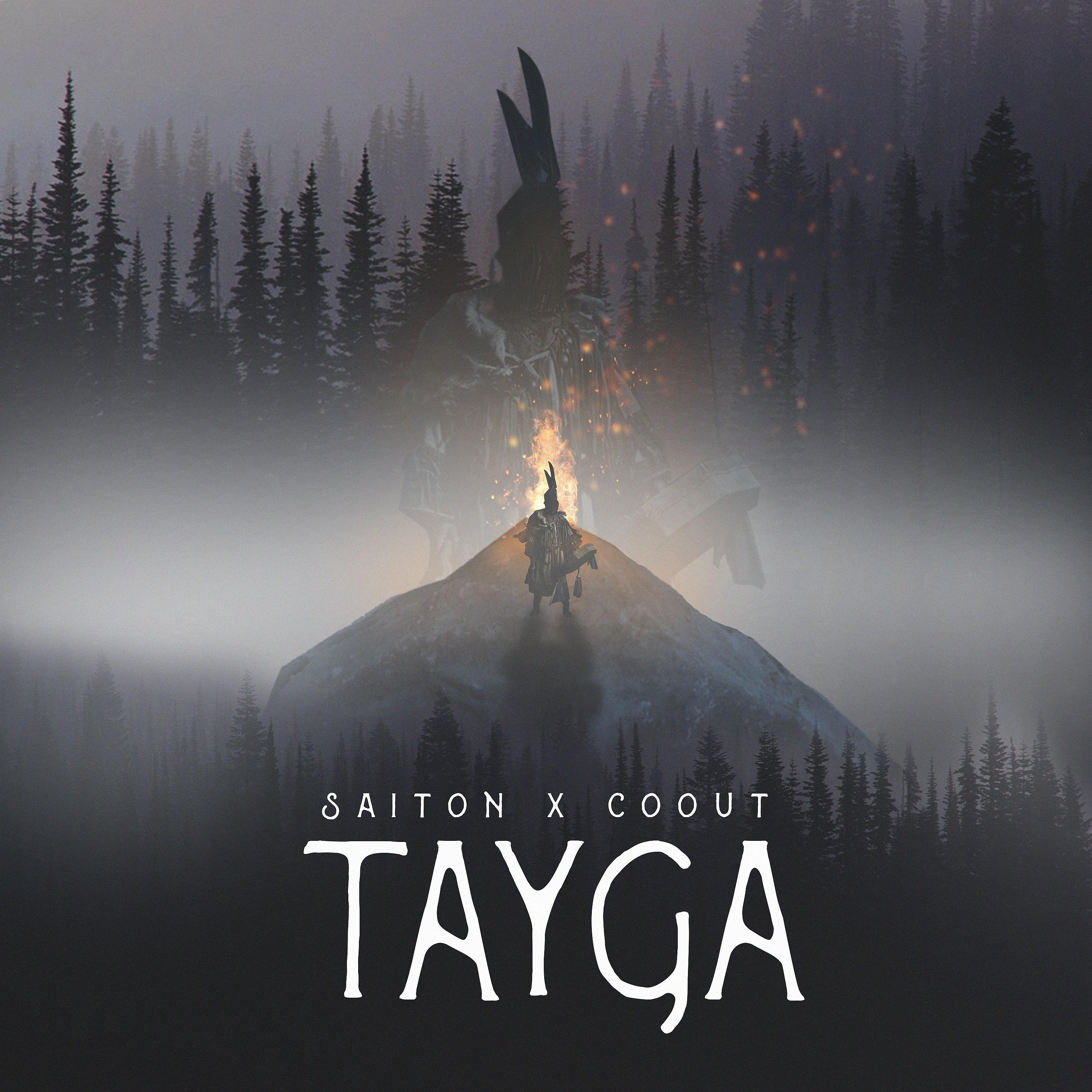 Постер альбома Tayga