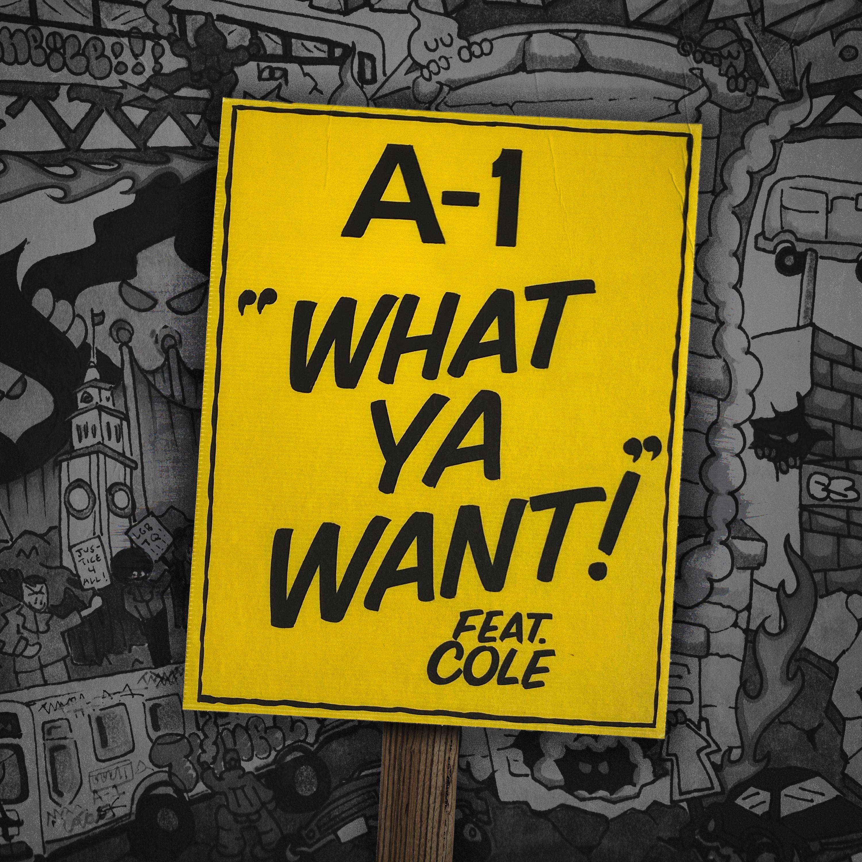 Постер альбома What Ya Want! (feat. Cole)
