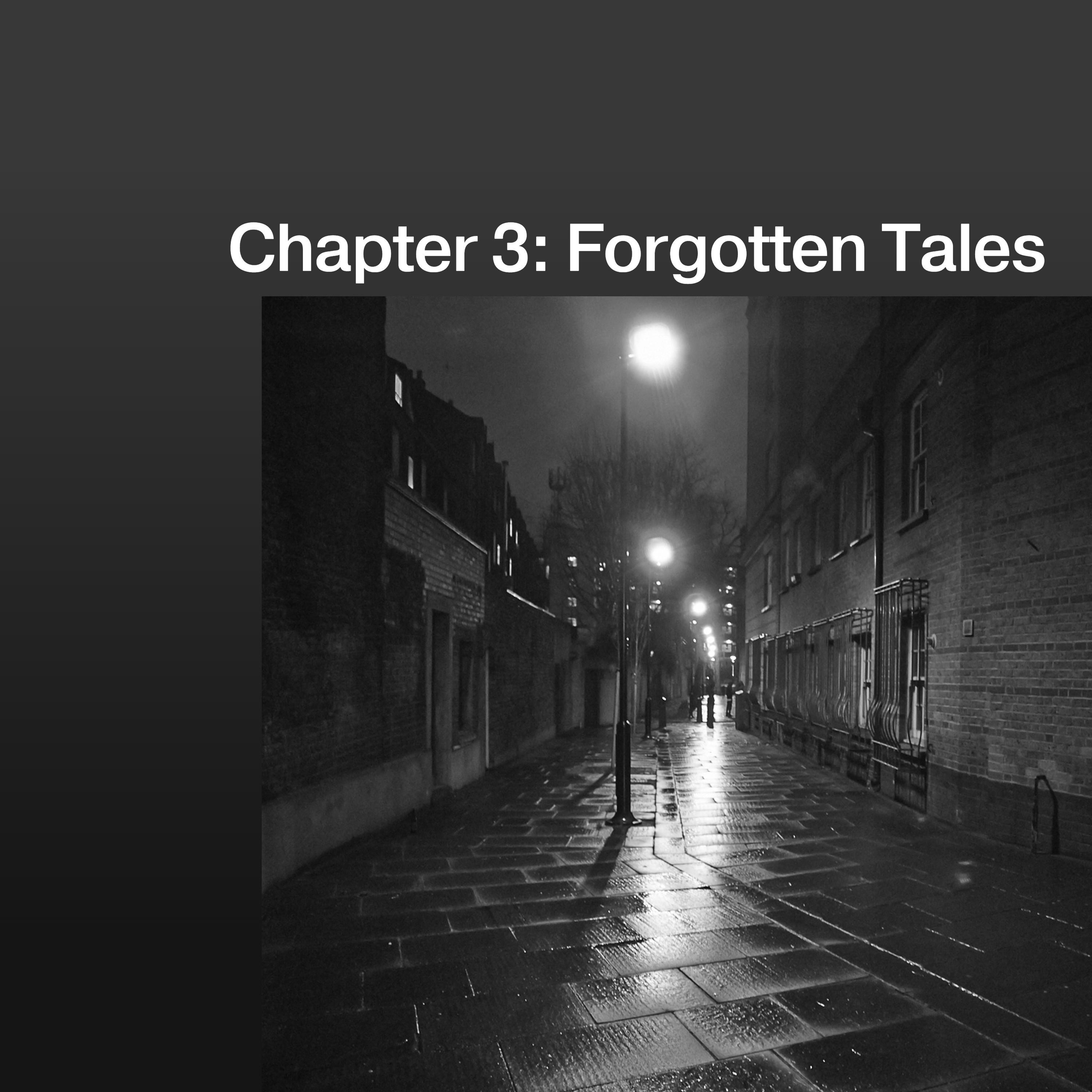 Постер альбома Chapter 3: Forgotten Tales