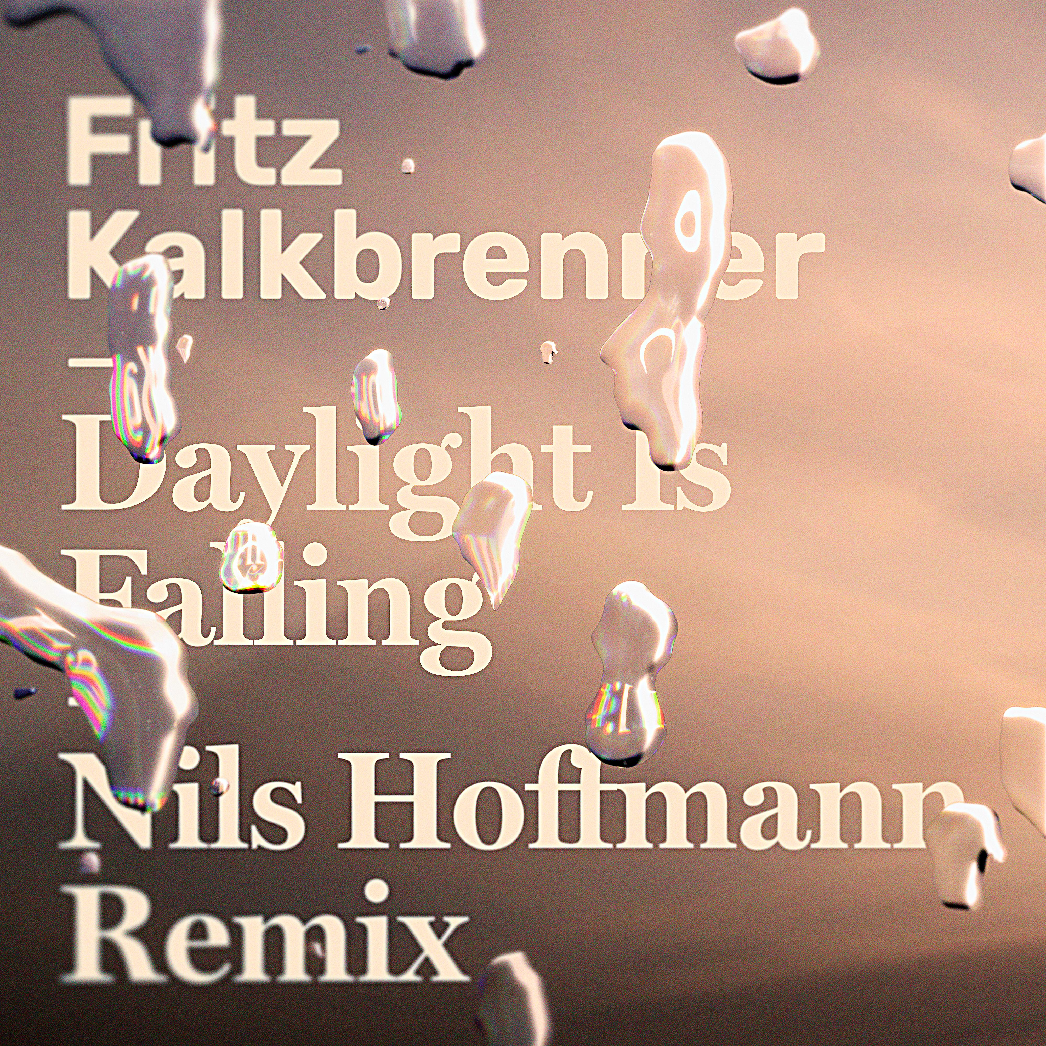 Постер альбома Daylight Is Falling (Nils Hoffmann Remix)