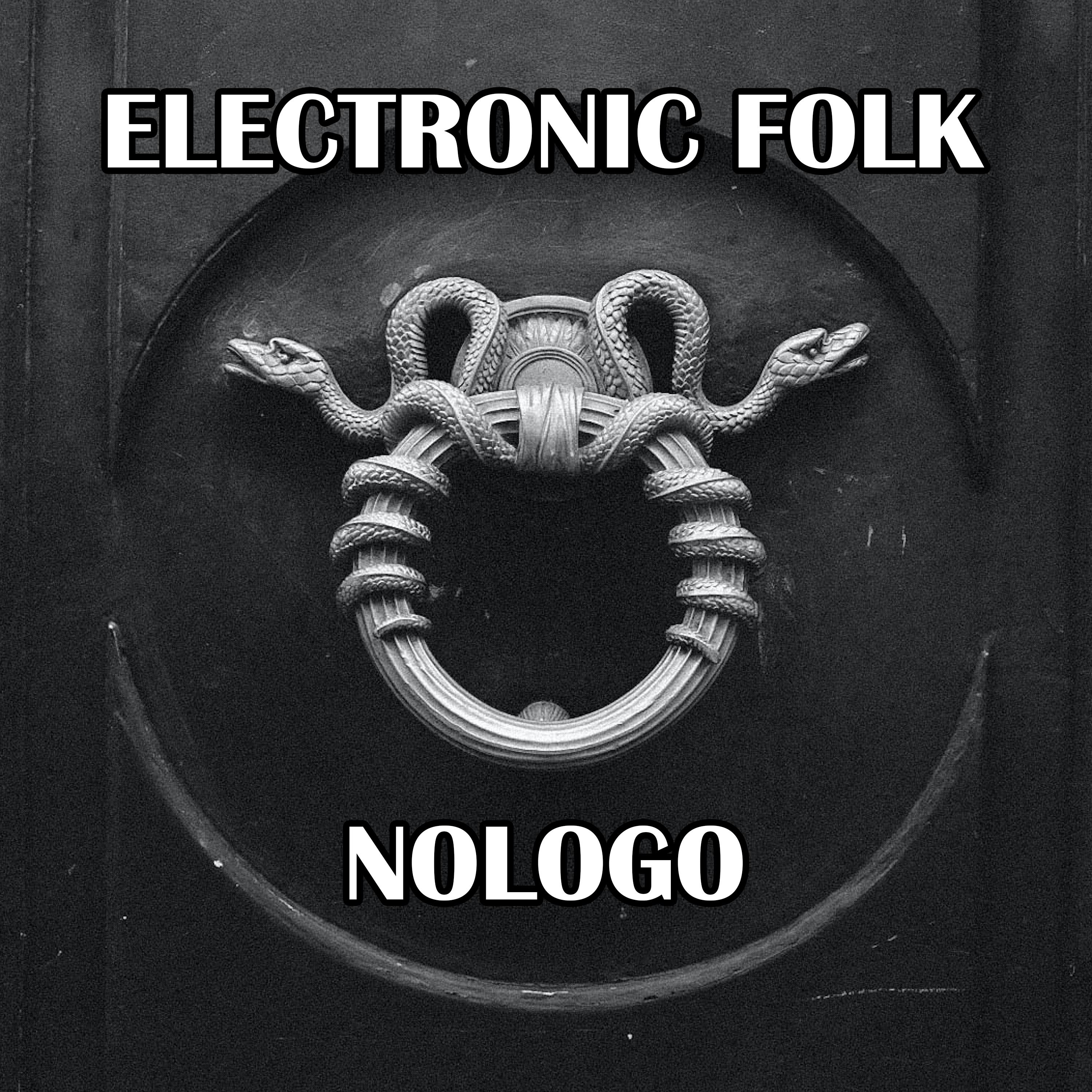 Постер альбома Electronic Folk