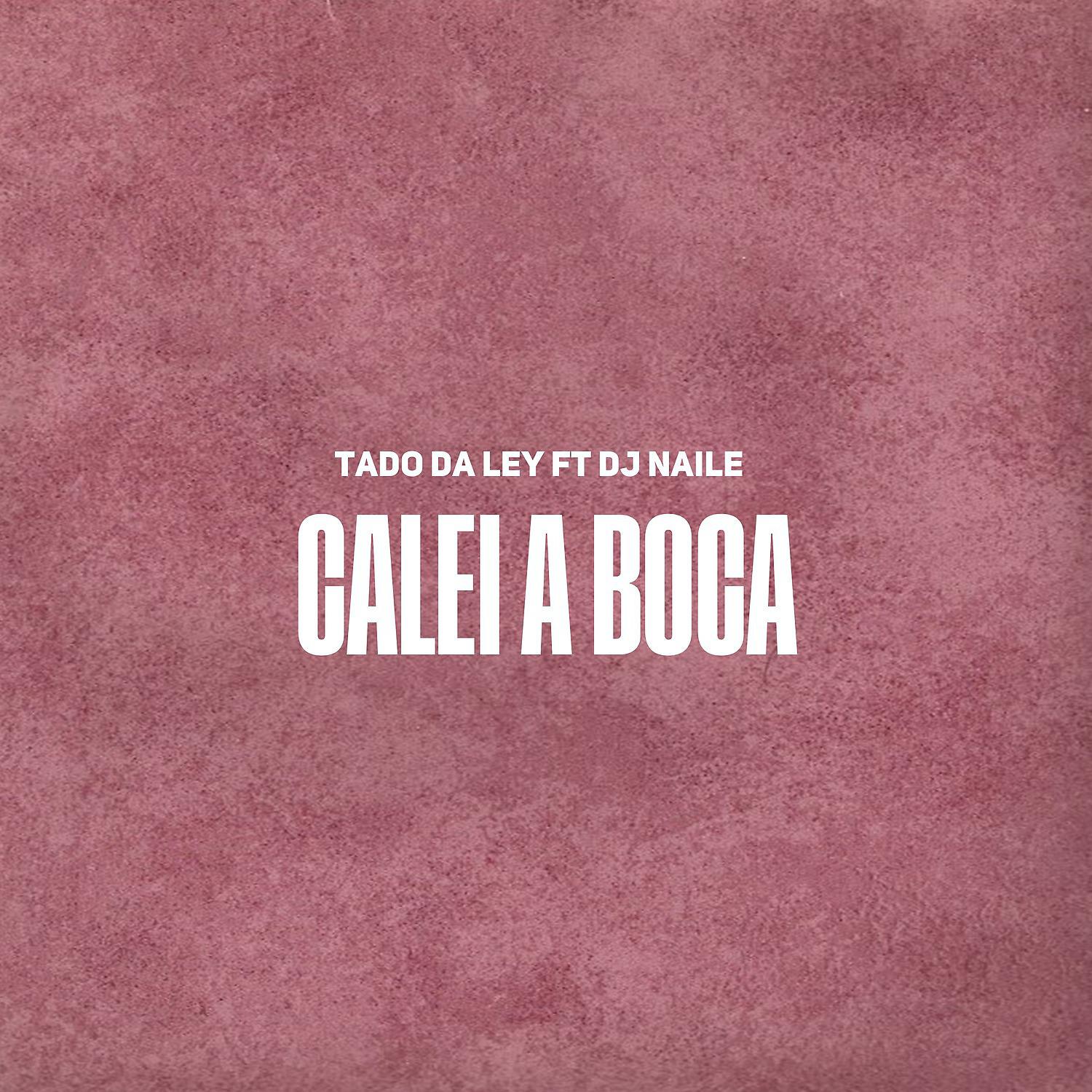 Постер альбома Calei a Boca
