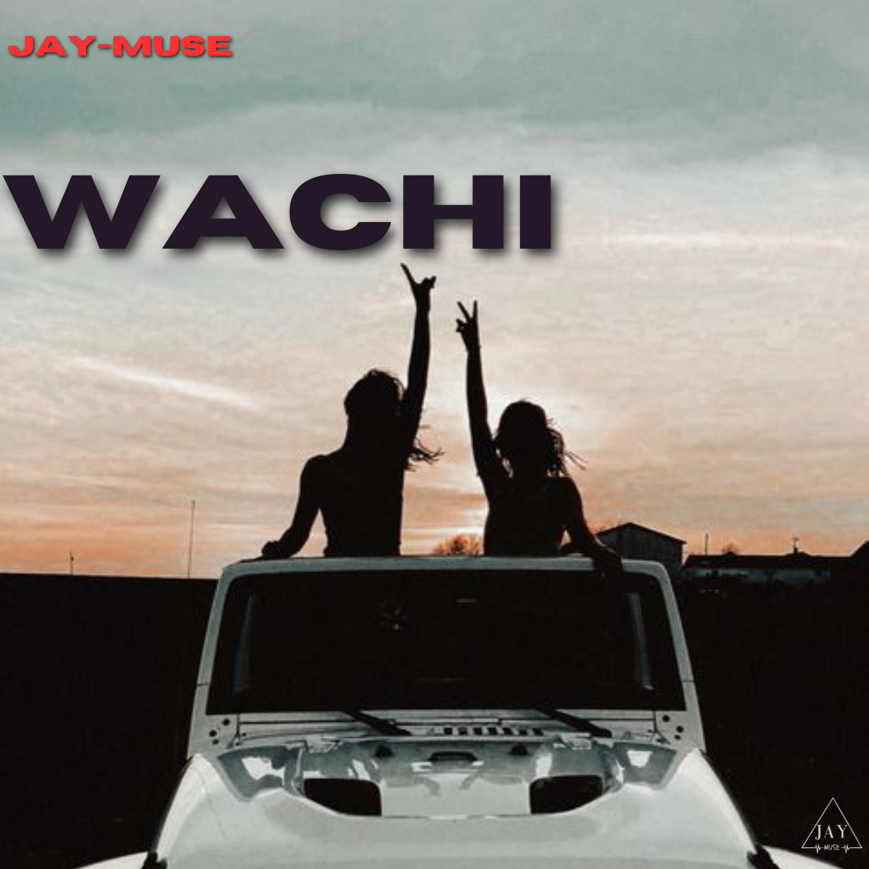 Постер альбома Wachi