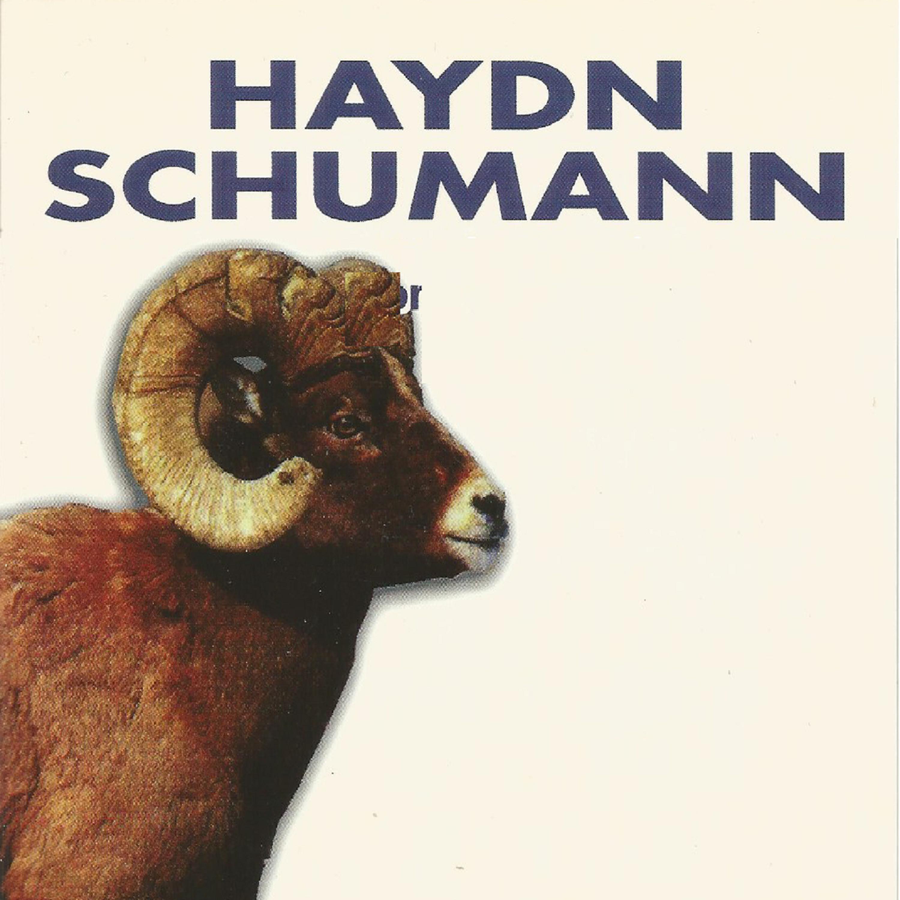 Постер альбома Haydn - Schumann
