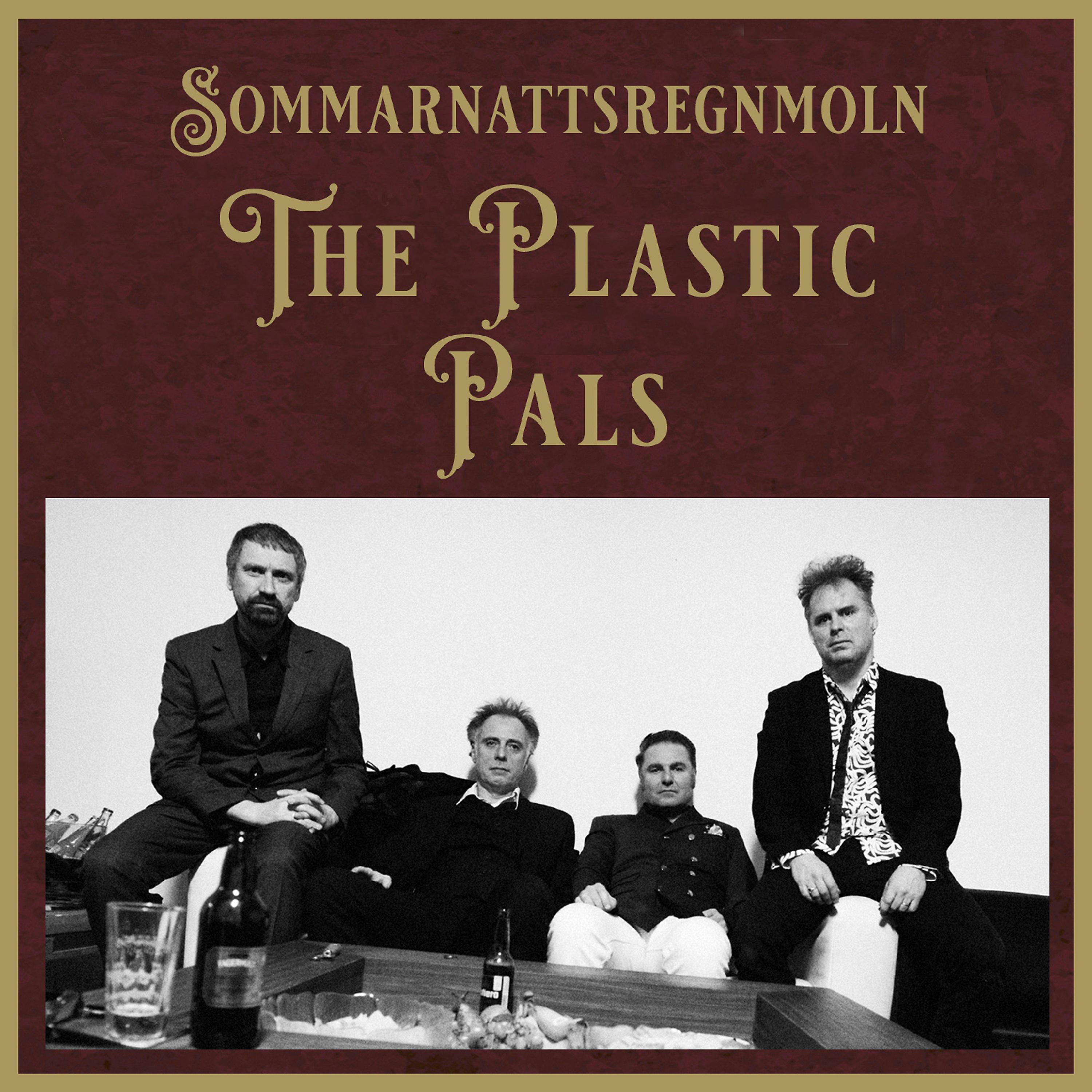 Постер альбома Sommarnattsregnmoln