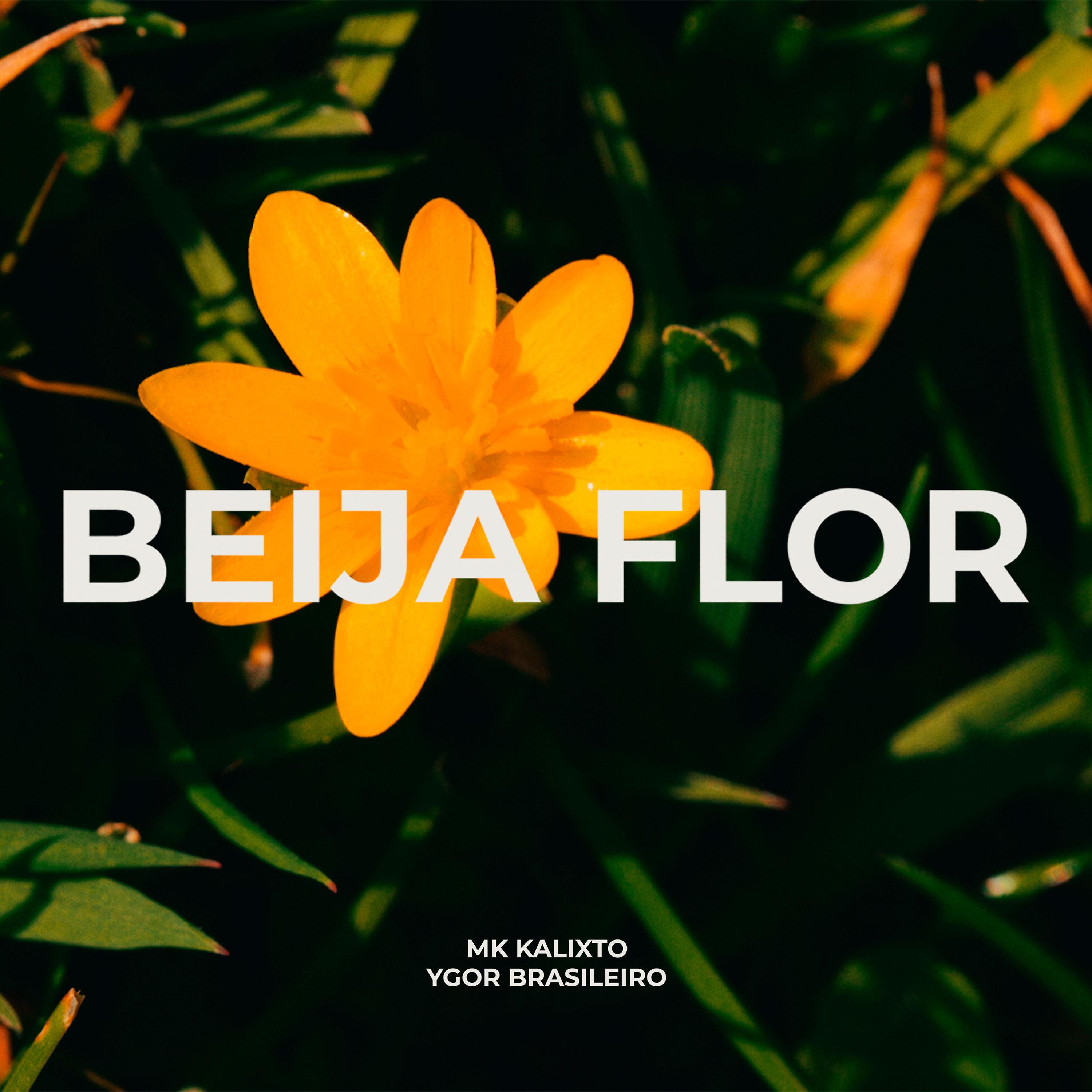 Постер альбома Beija Flor