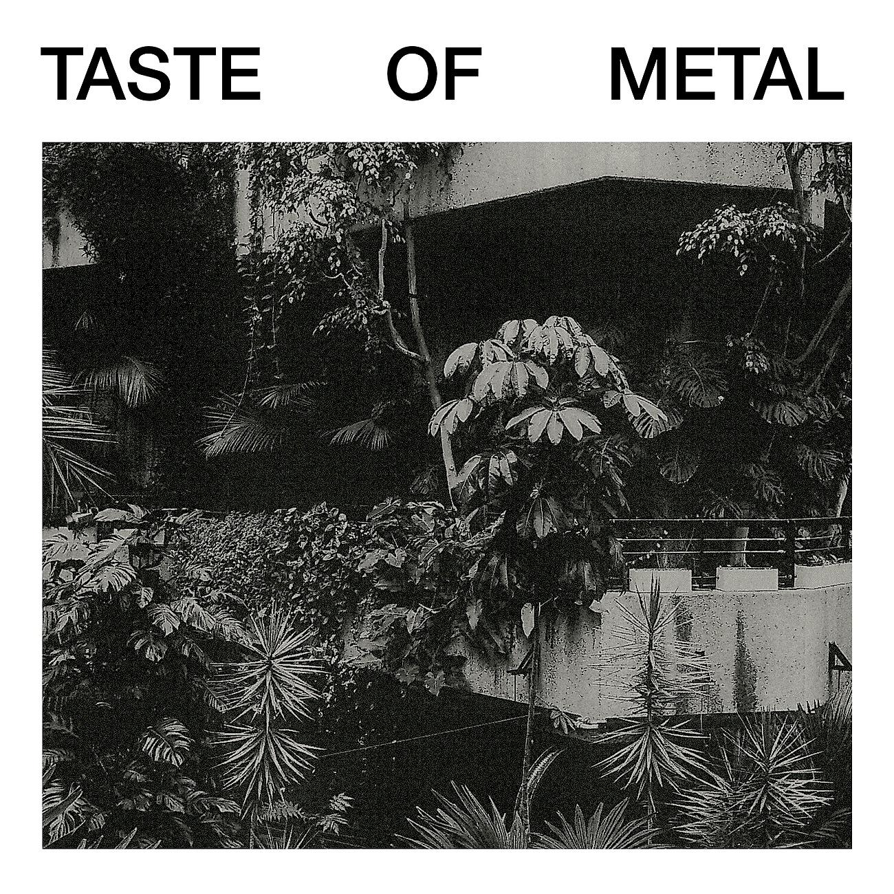 Постер альбома Taste Of Metal