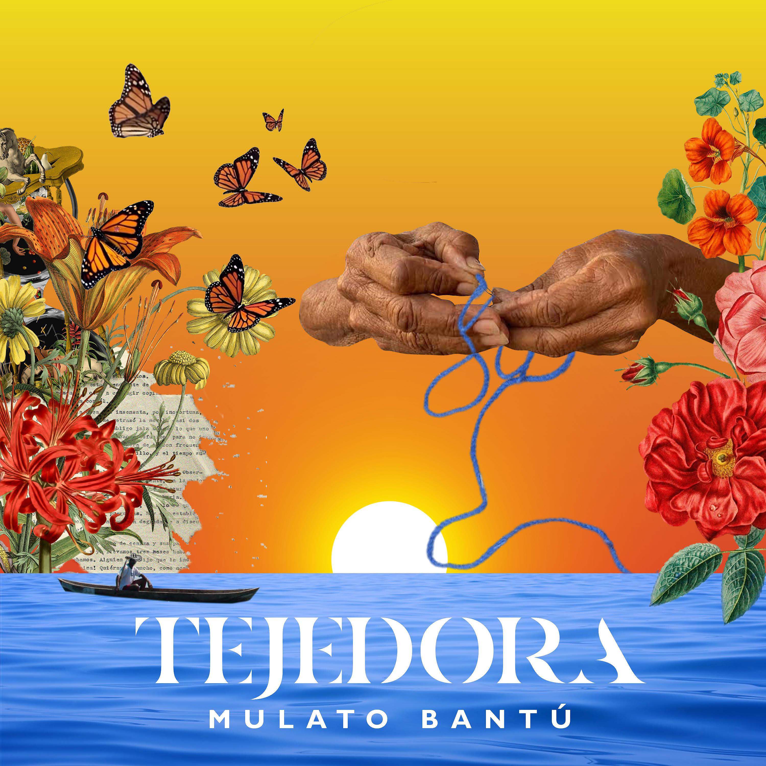 Постер альбома Tejedora