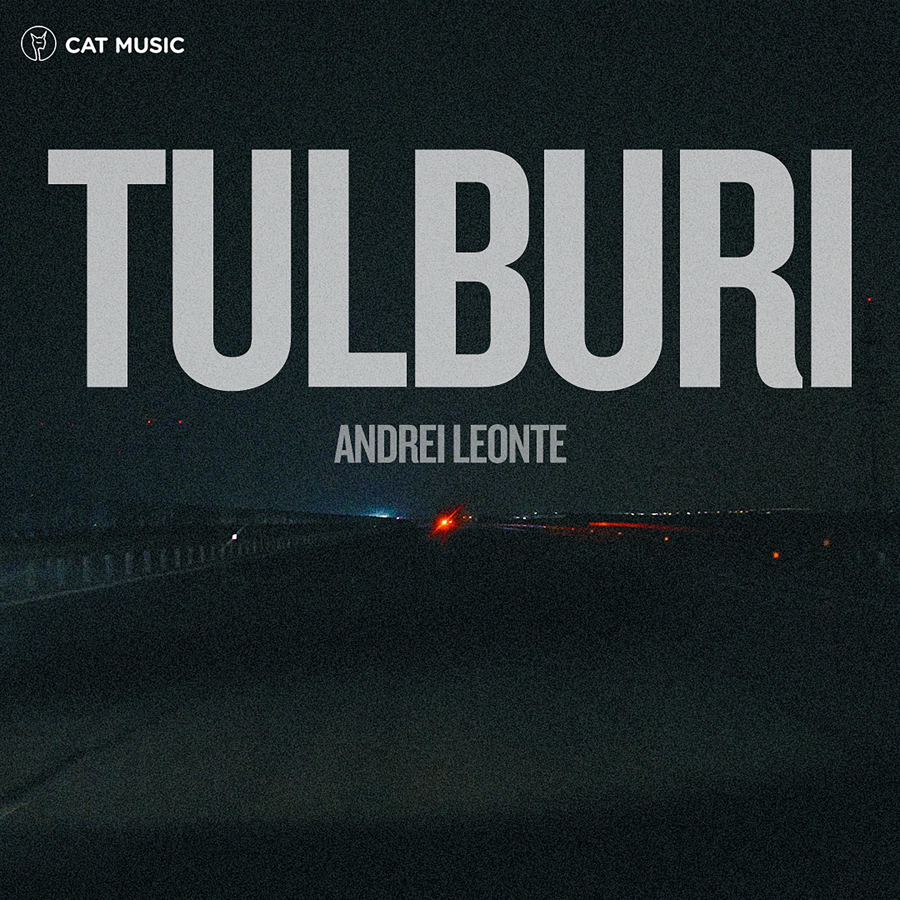 Постер альбома Tulburi