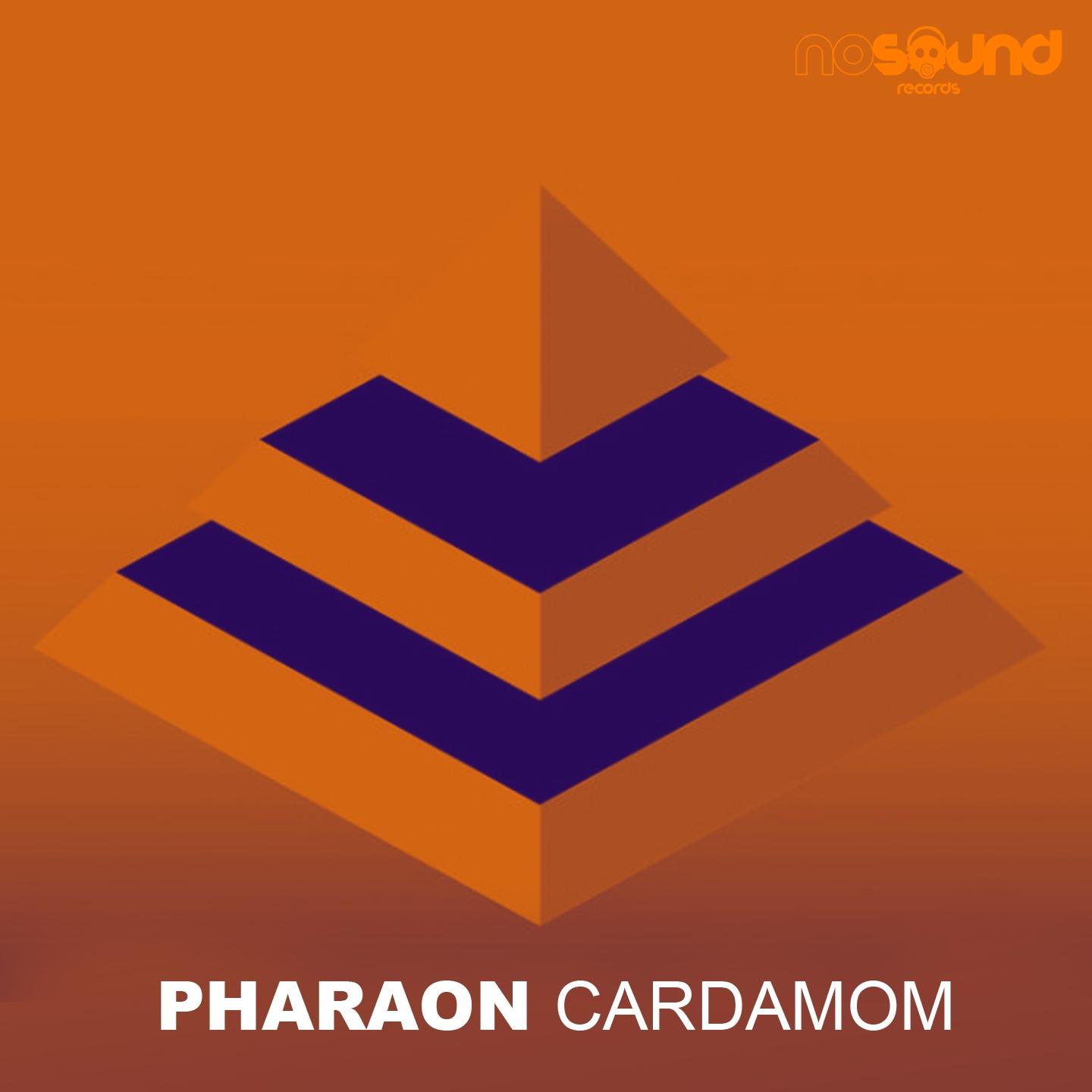 Постер альбома Cardamom