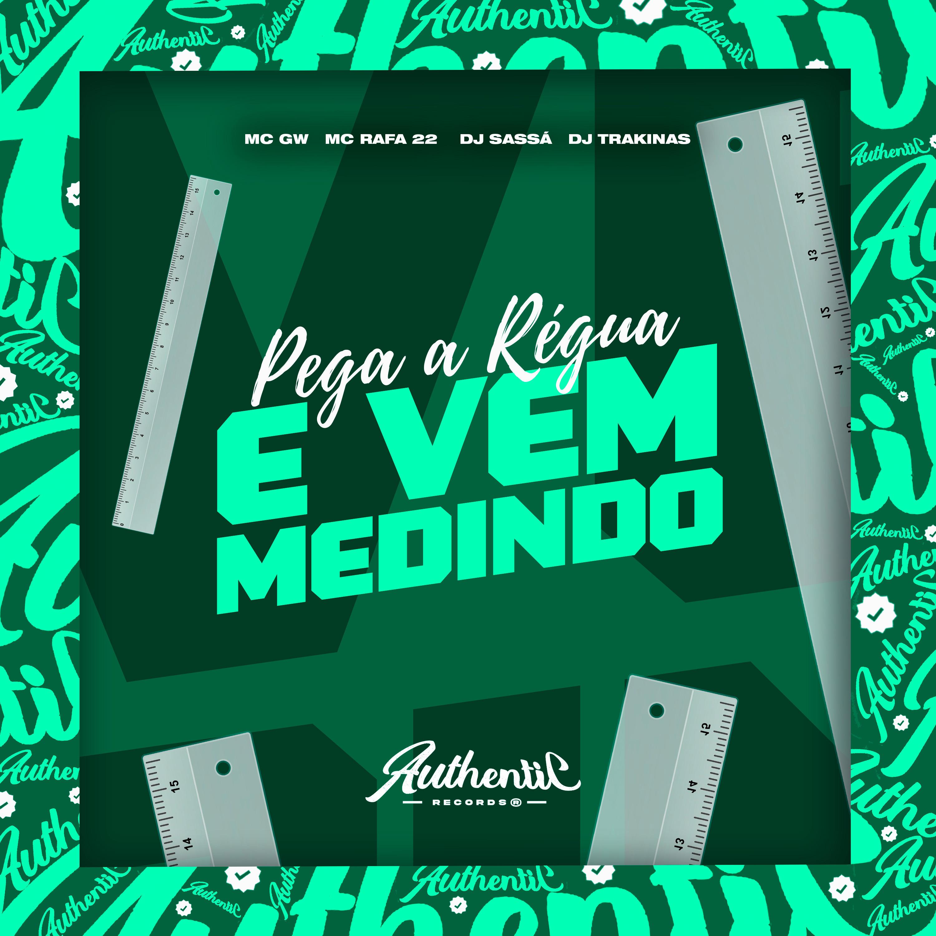 Постер альбома Pega a Régua e Vem Medindo