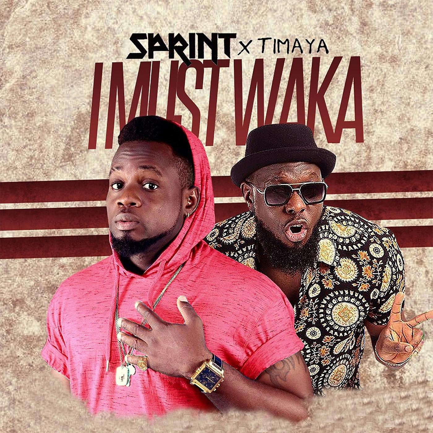 Постер альбома I Must Waka (feat. Timaya)