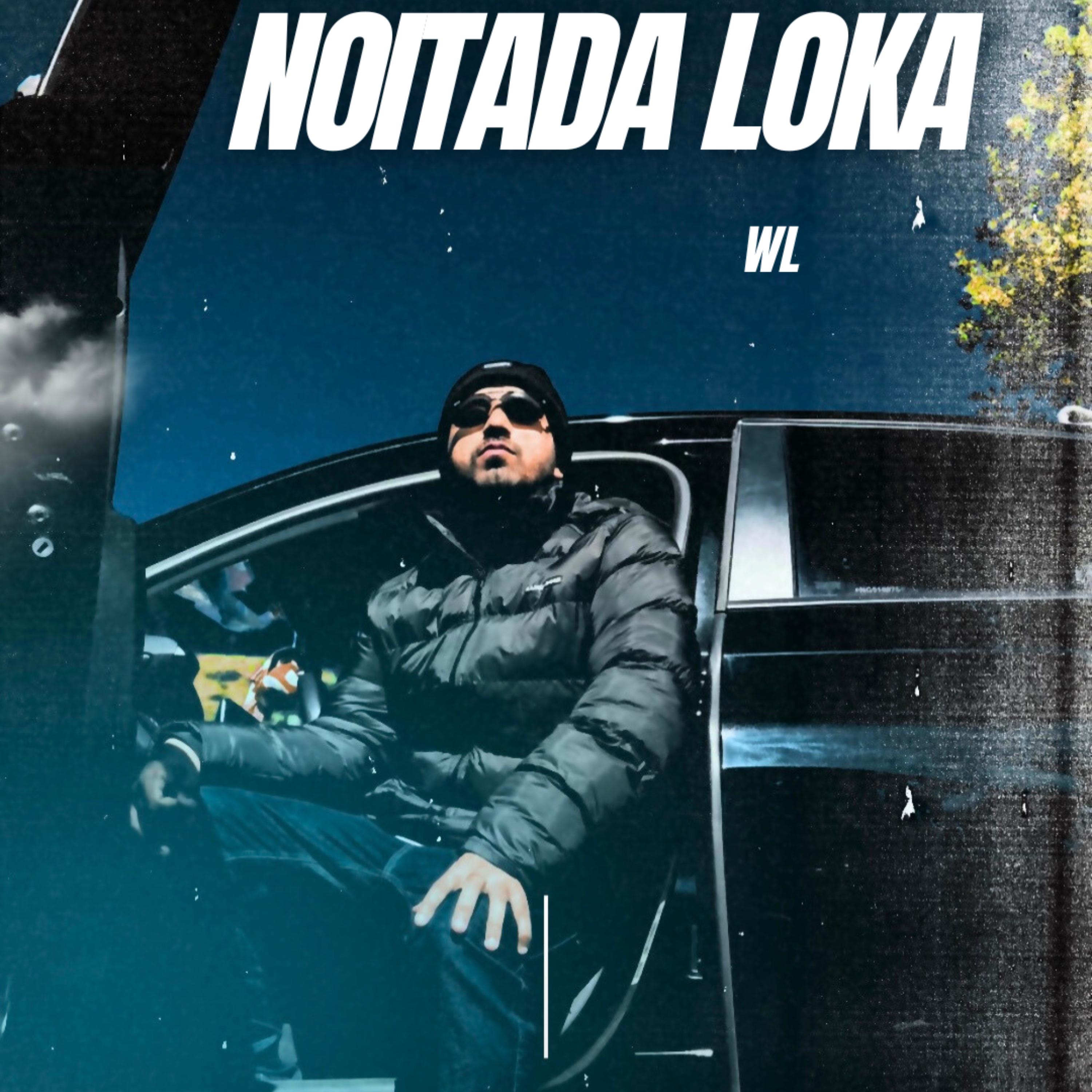 Постер альбома Noitada Loka