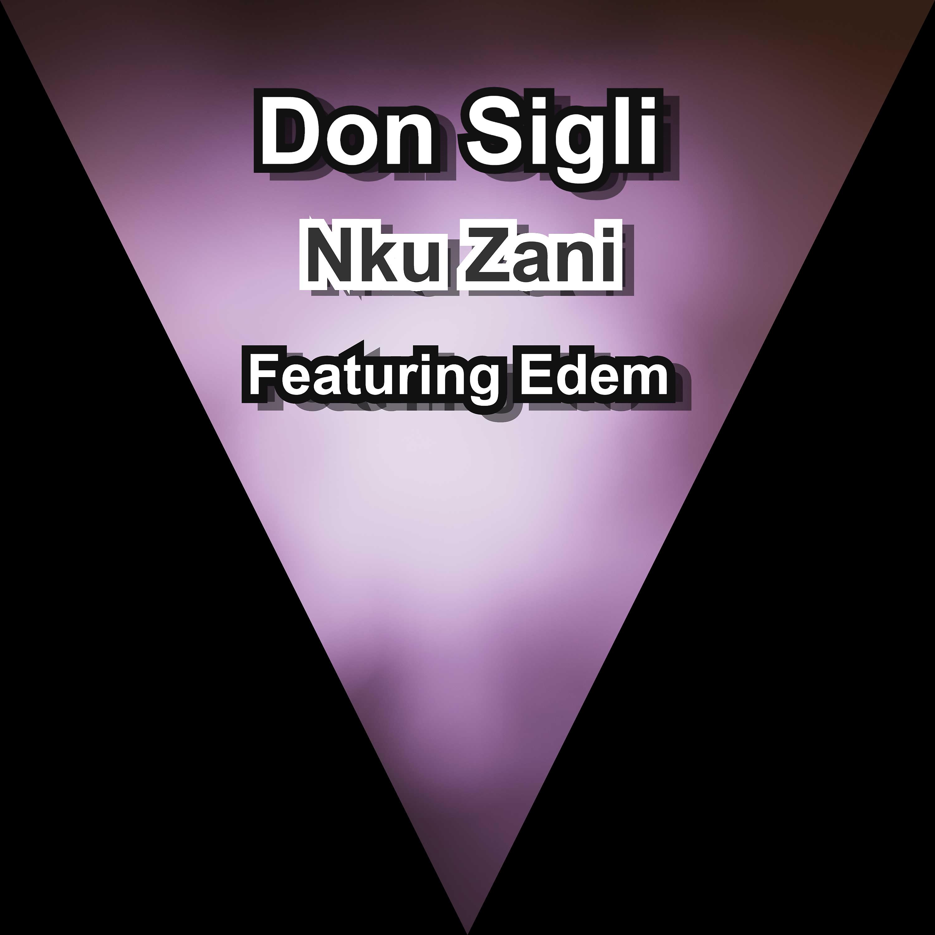 Постер альбома Nku Zani