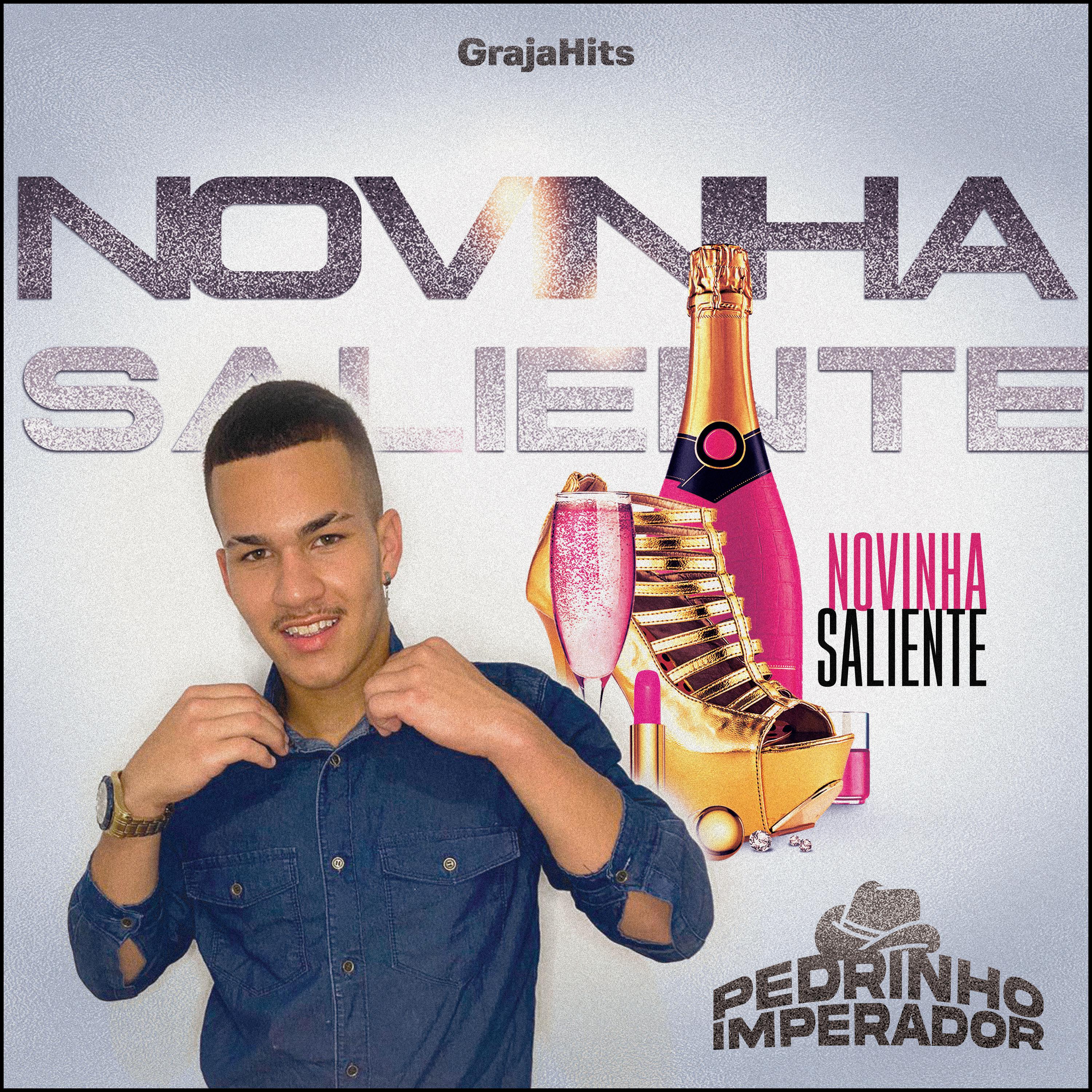 Постер альбома Novinha Saliente