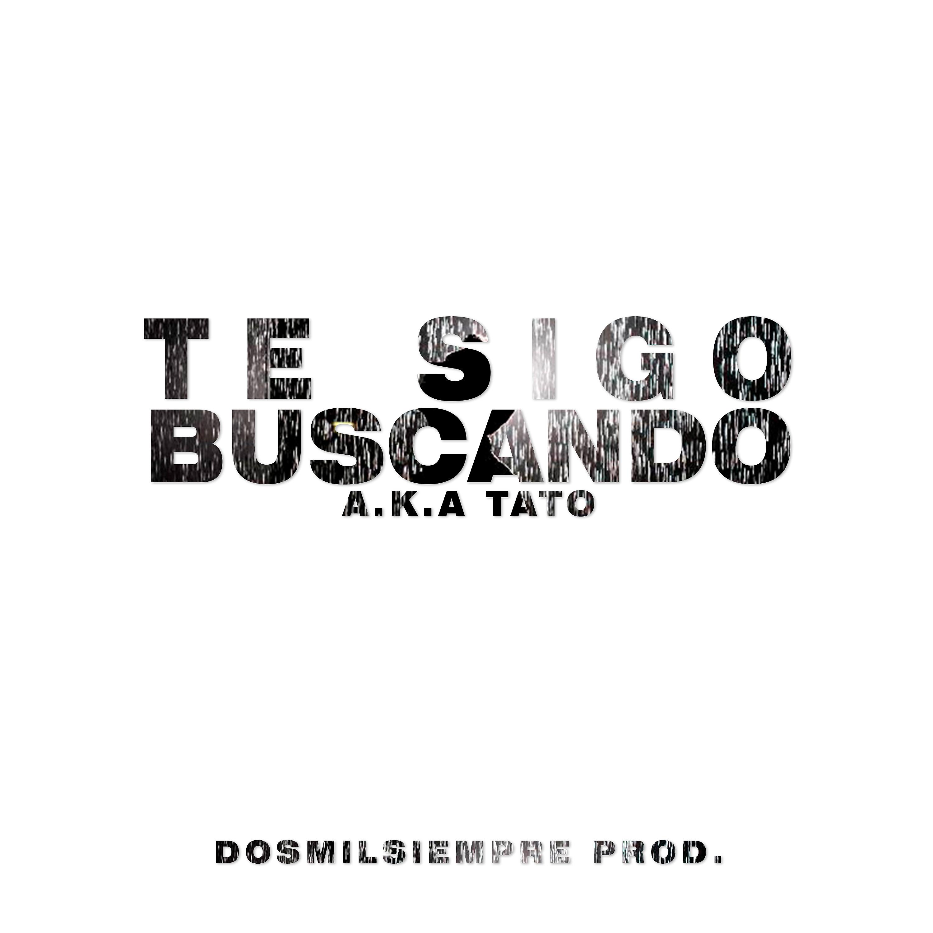 Постер альбома Te Sigo Buscando