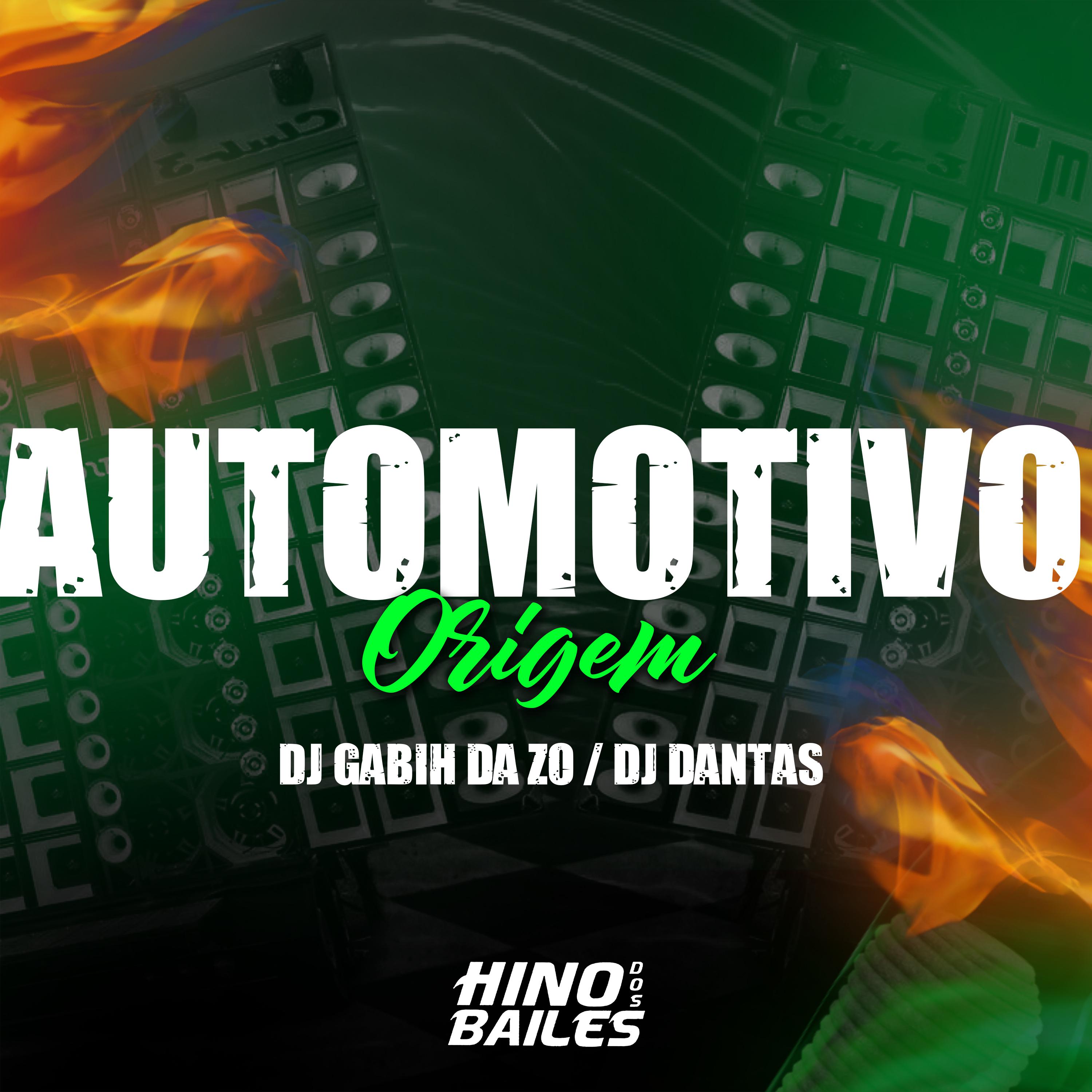 Постер альбома Automotivo Origem