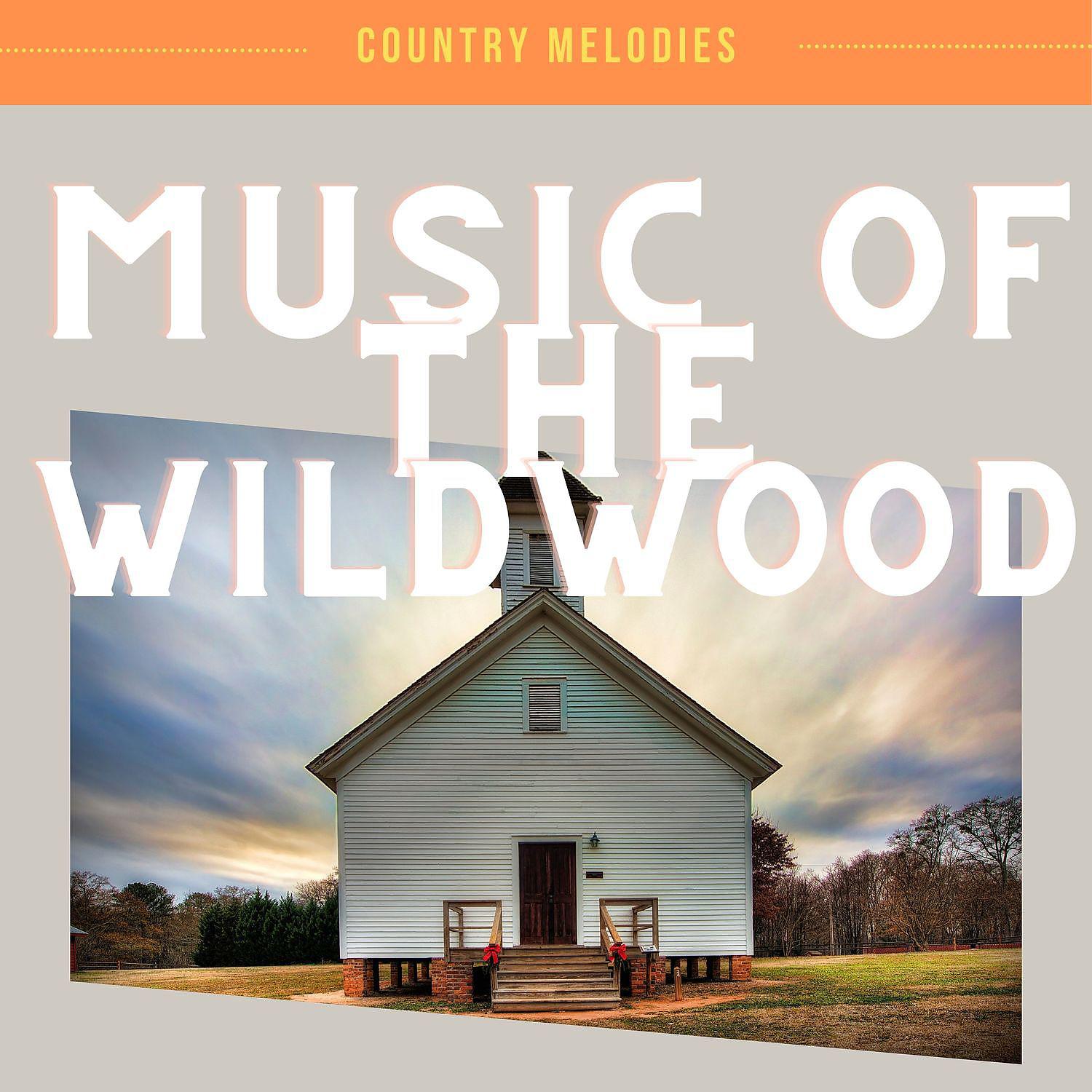 Постер альбома Music of the Wildwood
