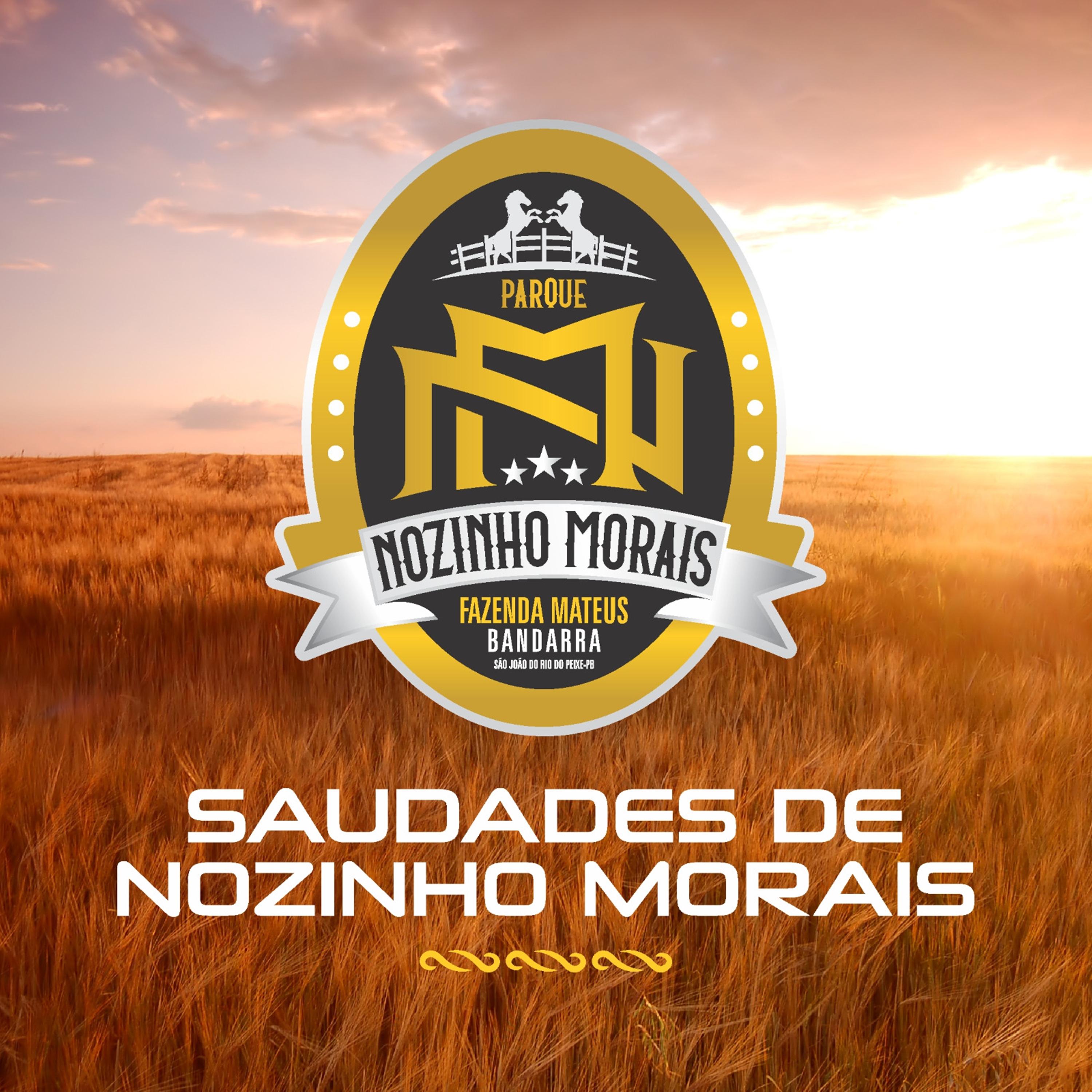 Постер альбома Saudades de Nozinho Morais