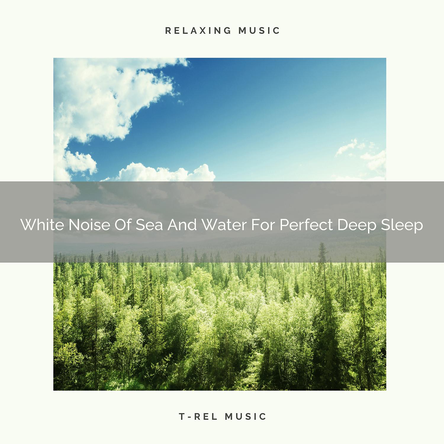 Постер альбома White Noise Of Sea And Water For Perfect Deep Sleep
