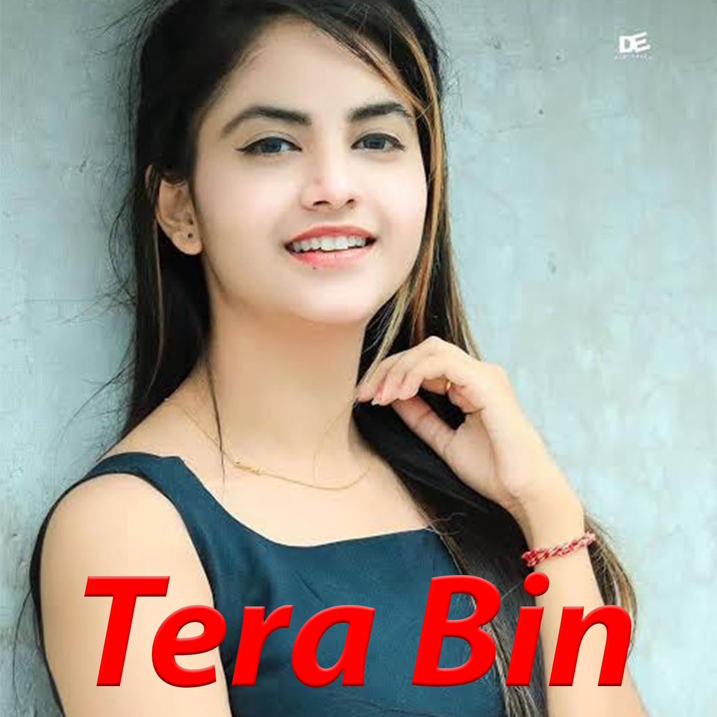 Постер альбома Tera Bin