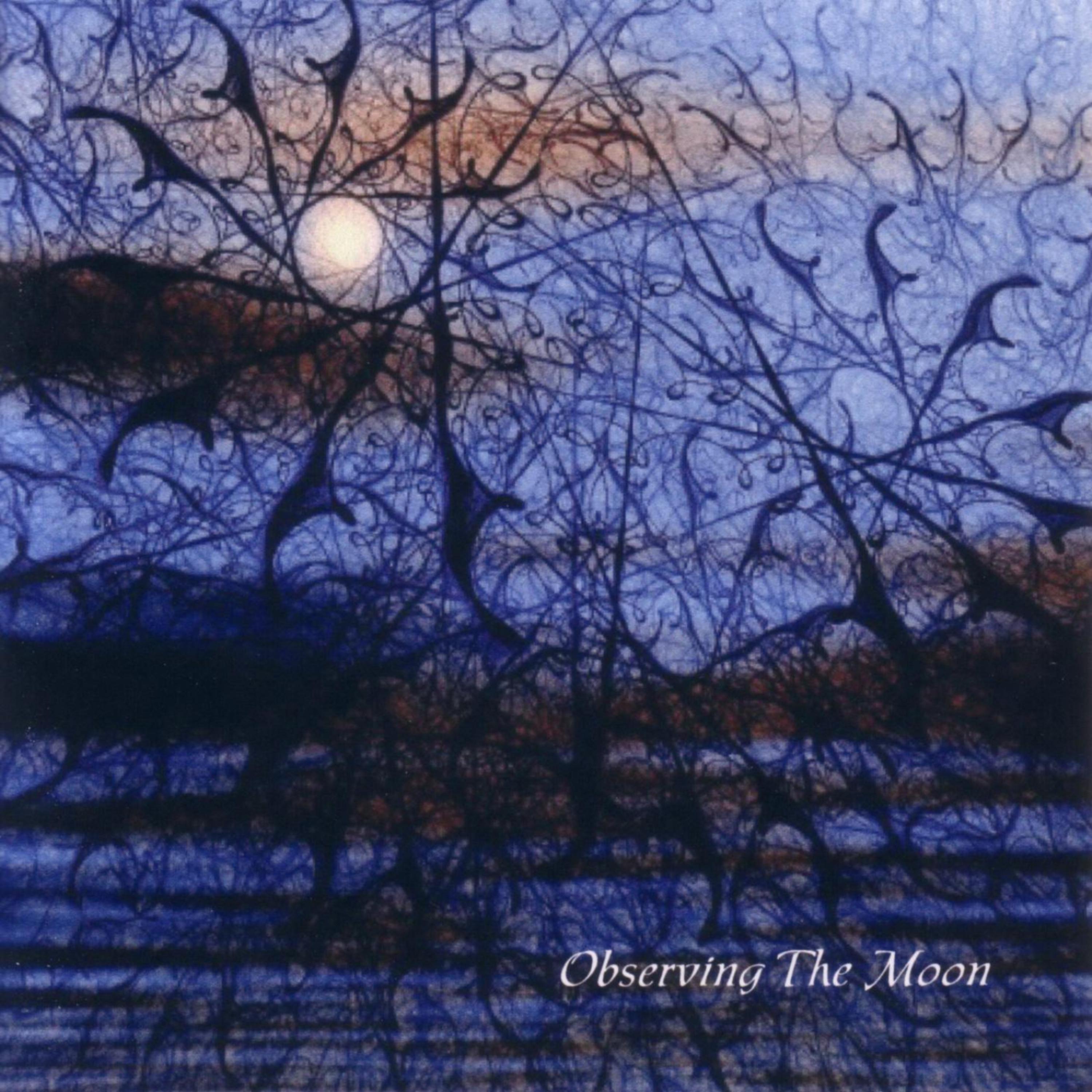 Постер альбома Observing The Moon